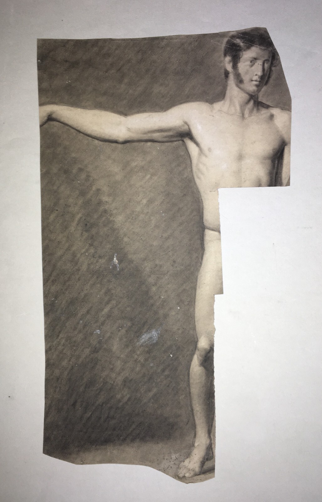 Disegno Antico Di Nudo Maschile   Bozzetto Accademico