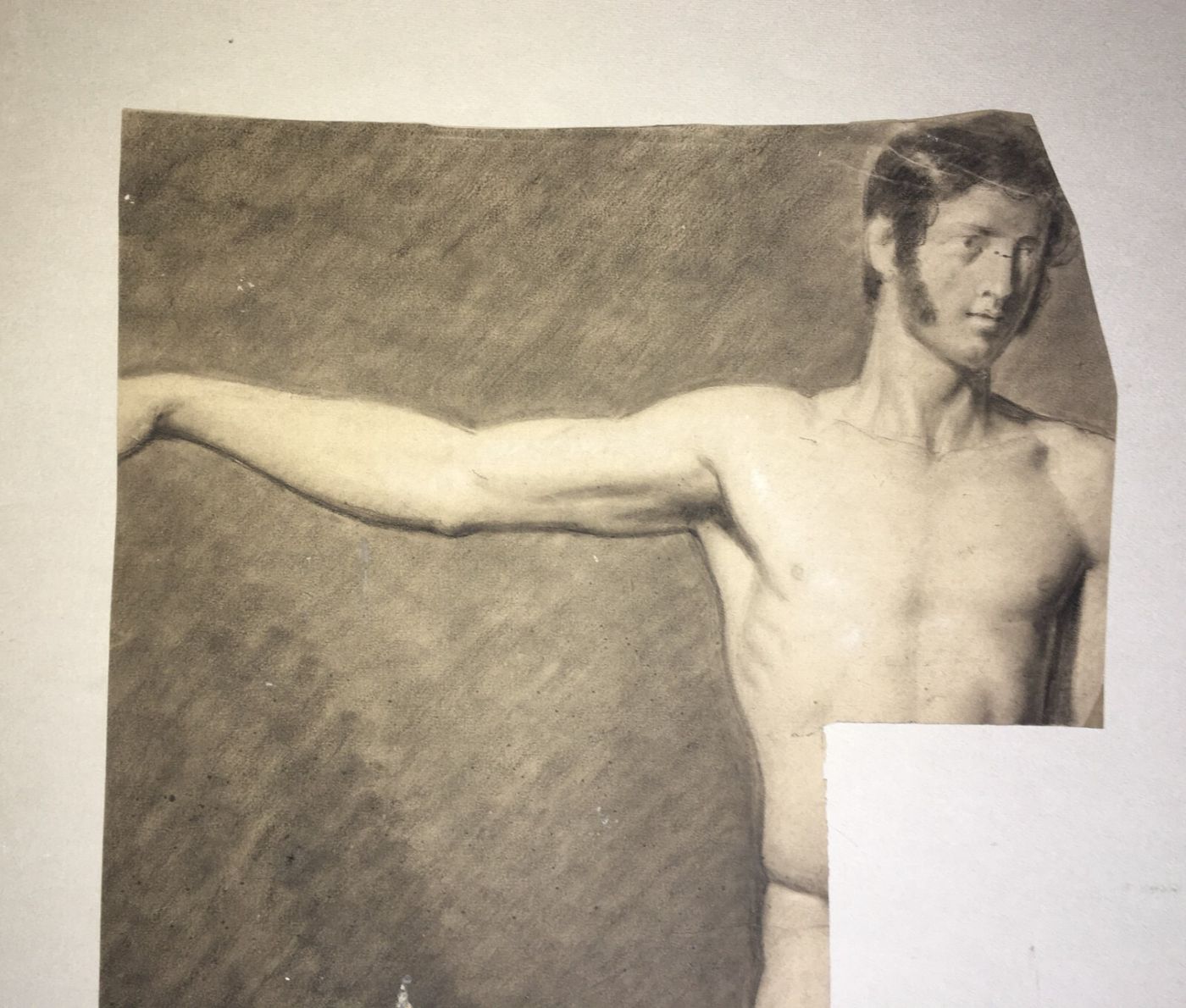 Disegno Antico Di Nudo Maschile   Bozzetto Accademico