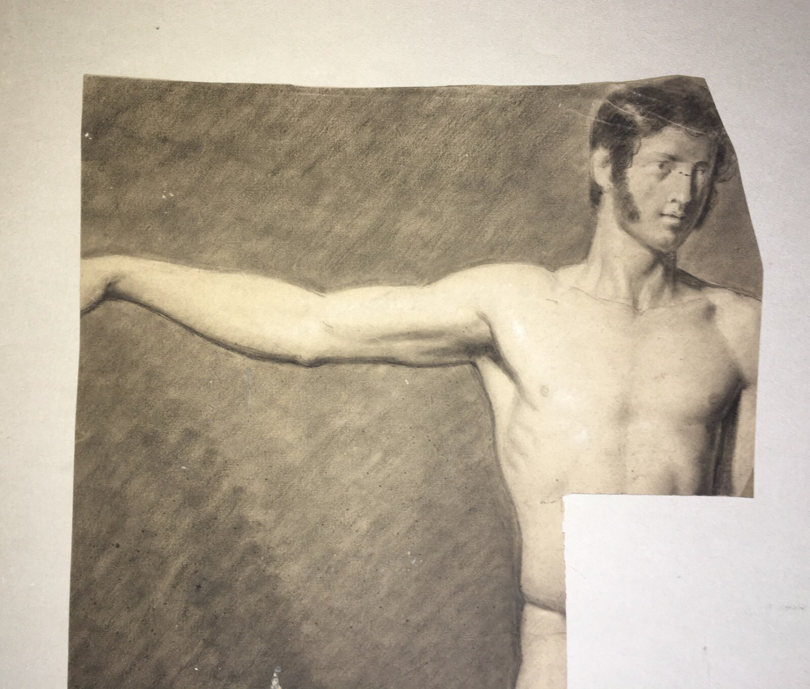 Disegno Antico Di Nudo Maschile   Bozzetto Accademico