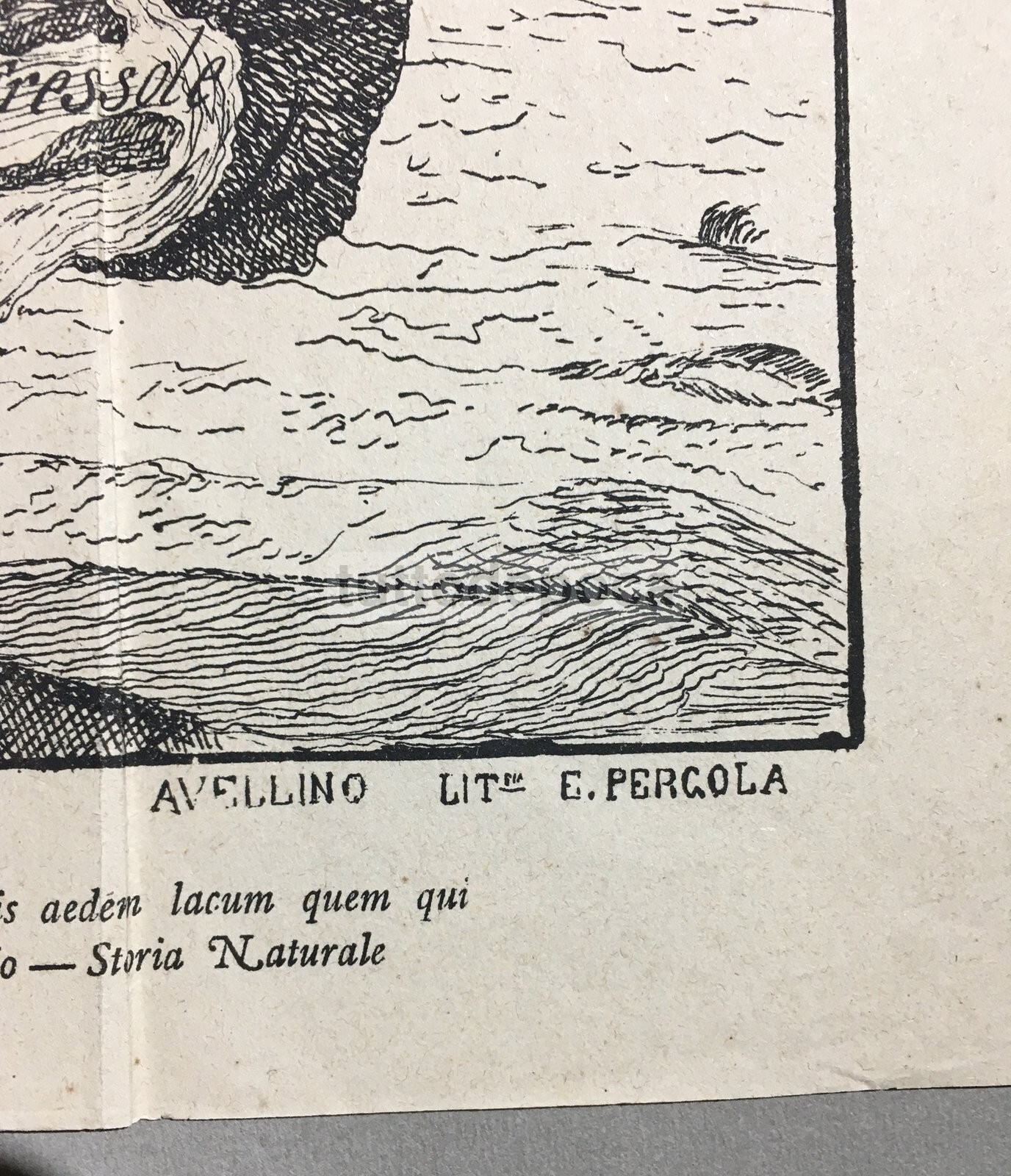 Irpinia   Valle Di Ansanto   Mefite   Villamaina   Frigento   Antica Mappa Topografica