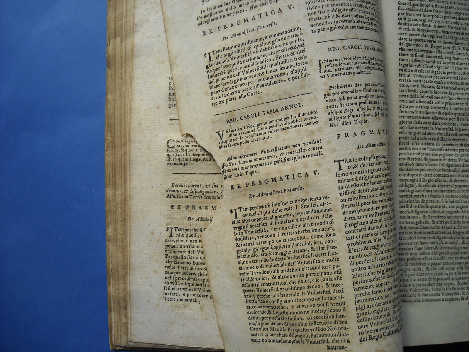 Campania, Giuridica: Prammatiche Napoletane, Tapia, Edizione 1643, Legatura In Pergamena