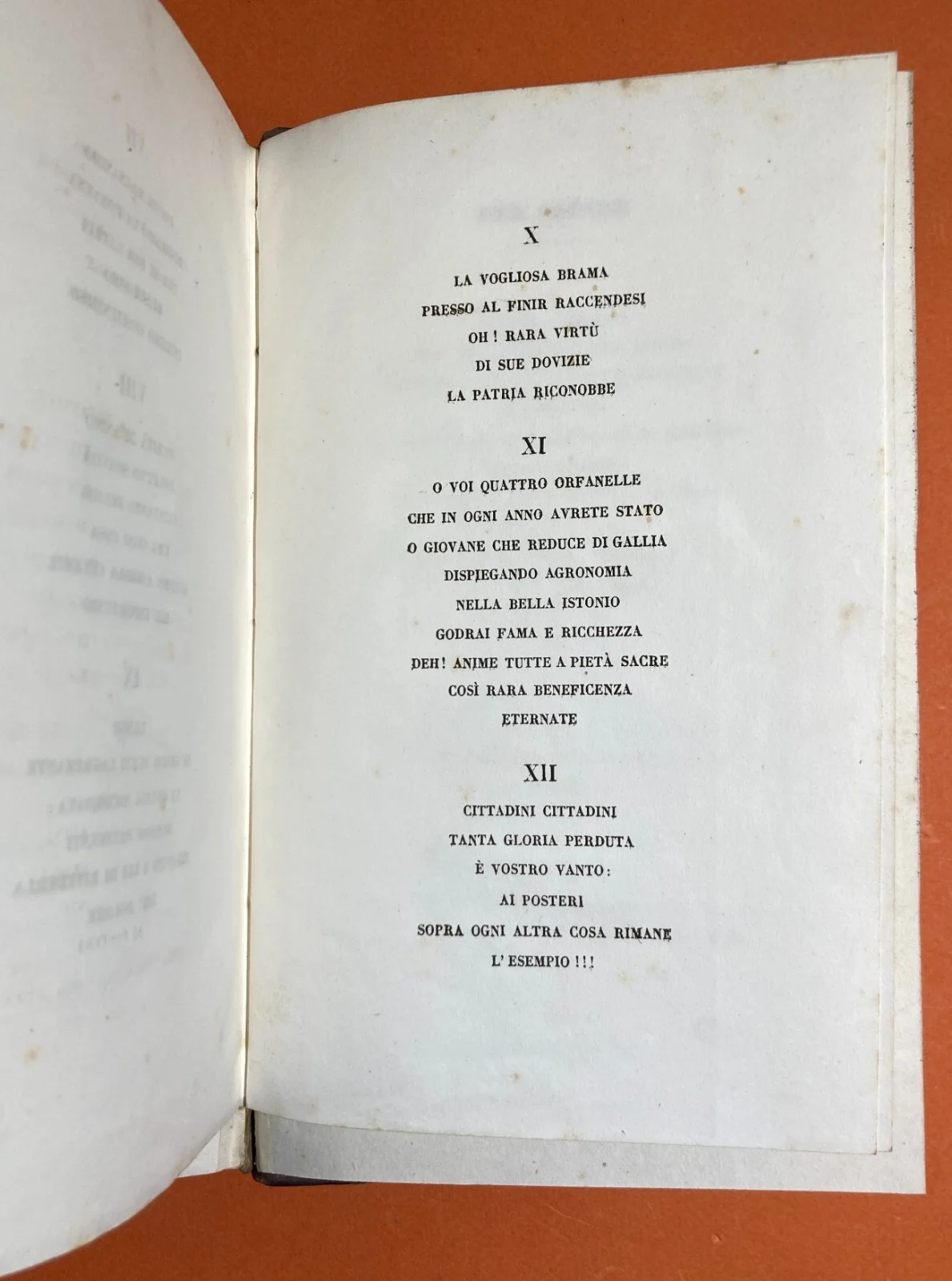 Medicina: Febbri Perniciose, Colera e Casi Clinici a Vasto (abruzzo). Opere di Giacinto Barbarotta, 1856 1858