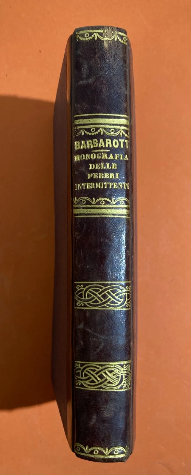 Medicina: Febbri Perniciose, Colera e Casi Clinici a Vasto (abruzzo). Opere di Giacinto Barbarotta, 1856 1858