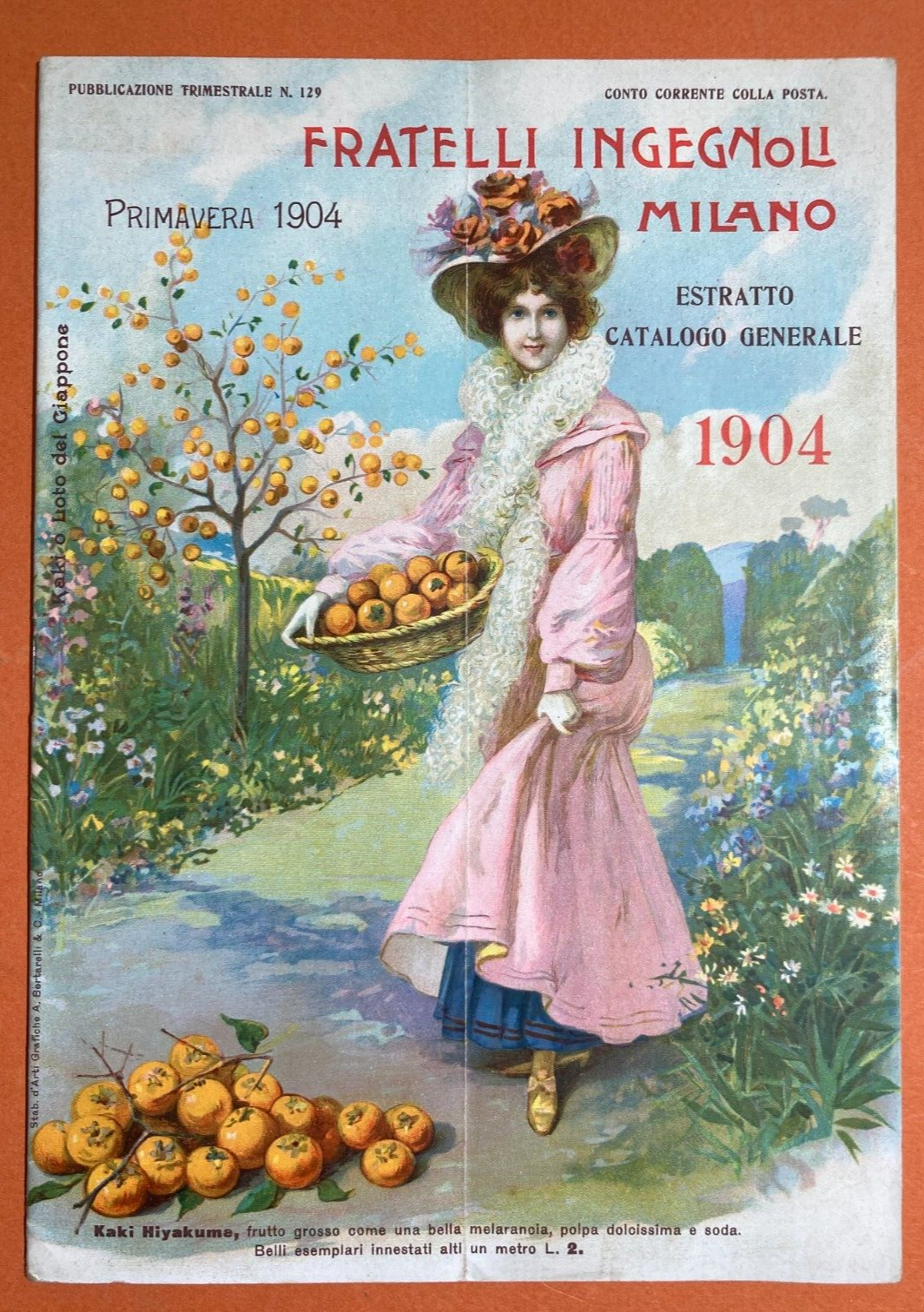Agraria, Piante, Fiori, Frutta, Kaki: Antico Catalogo Ingegnoli Illustrato, 1904