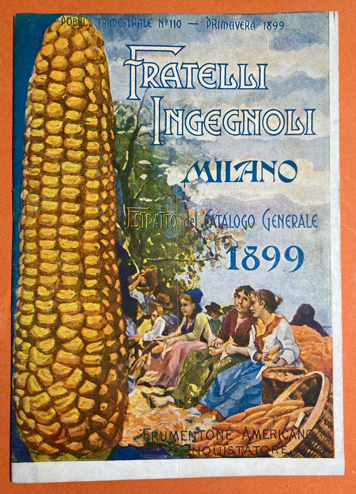 Agraria, Botanica, Ortaggi, Frutta, Fiori, Piante: Antico Catalogo Pubblicitario, 1899
