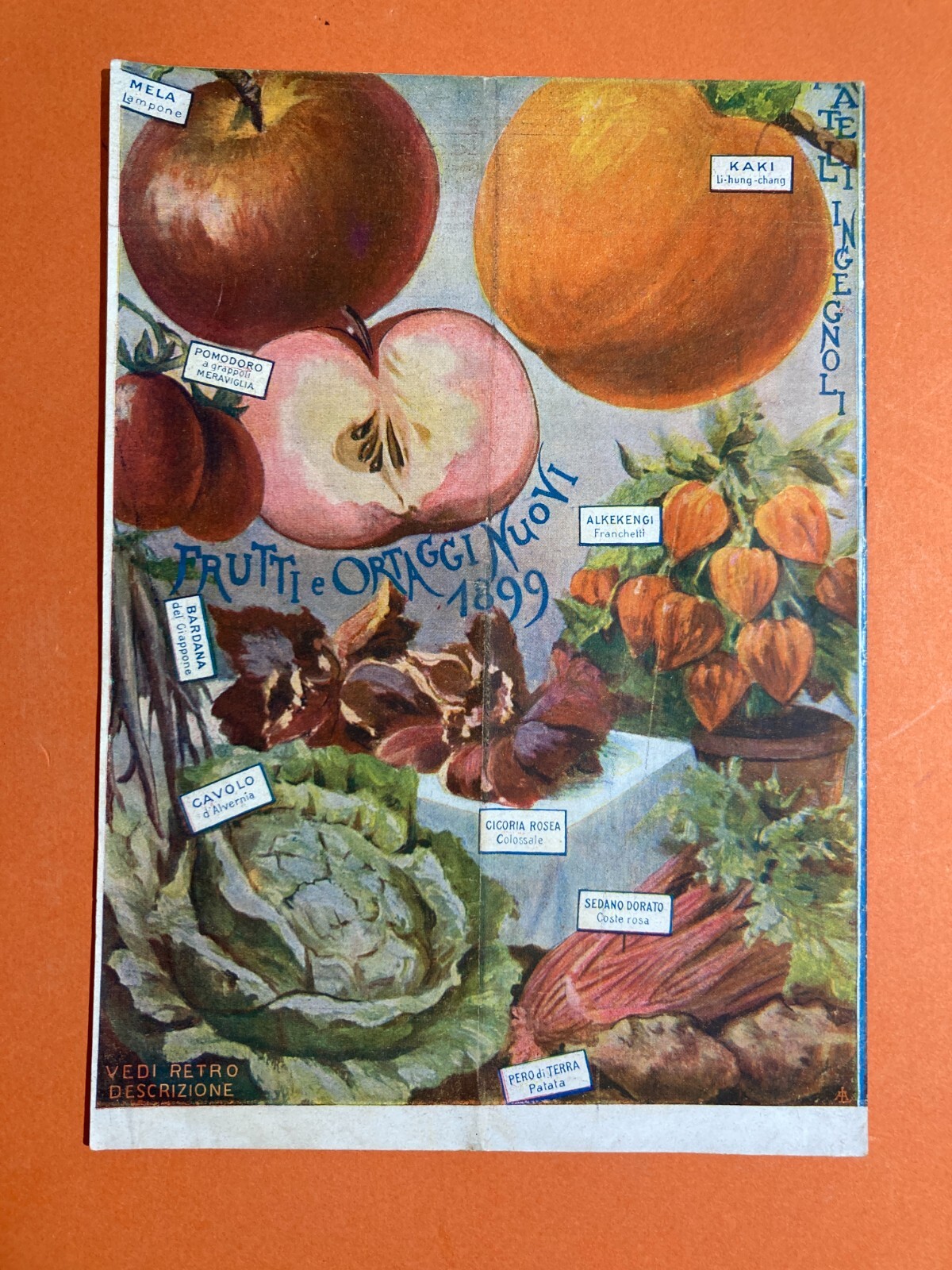 Agraria, Botanica, Ortaggi, Frutta, Fiori, Piante: Antico Catalogo Pubblicitario, 1899