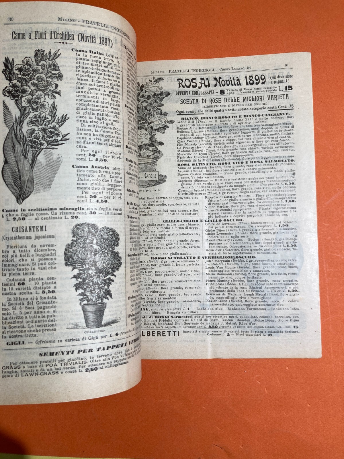 Agraria, Botanica, Ortaggi, Frutta, Fiori, Piante: Antico Catalogo Pubblicitario, 1899