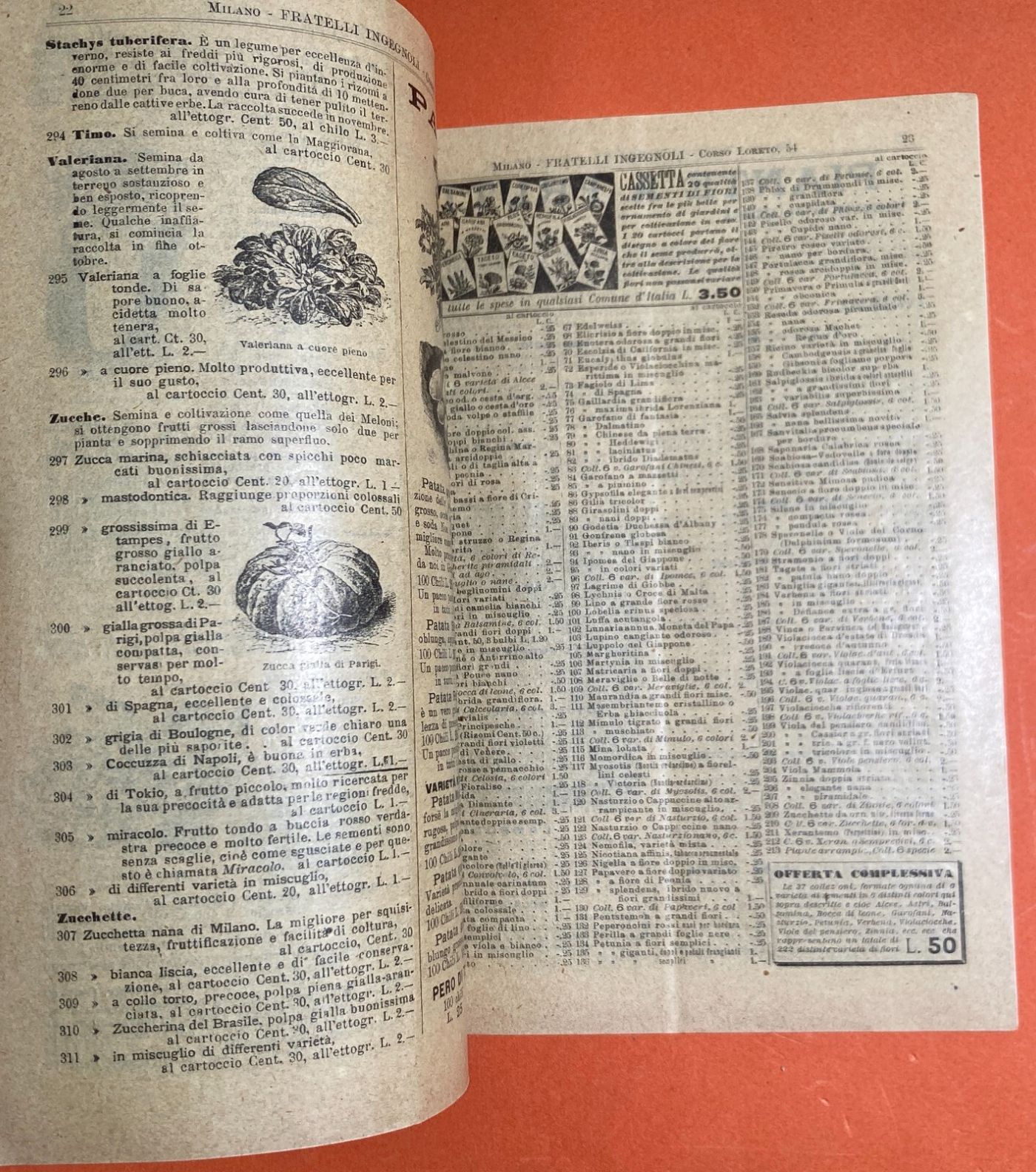 Agraria, Botanica, Ortaggi, Frutta, Fiori, Piante: Antico Catalogo Pubblicitario, 1899