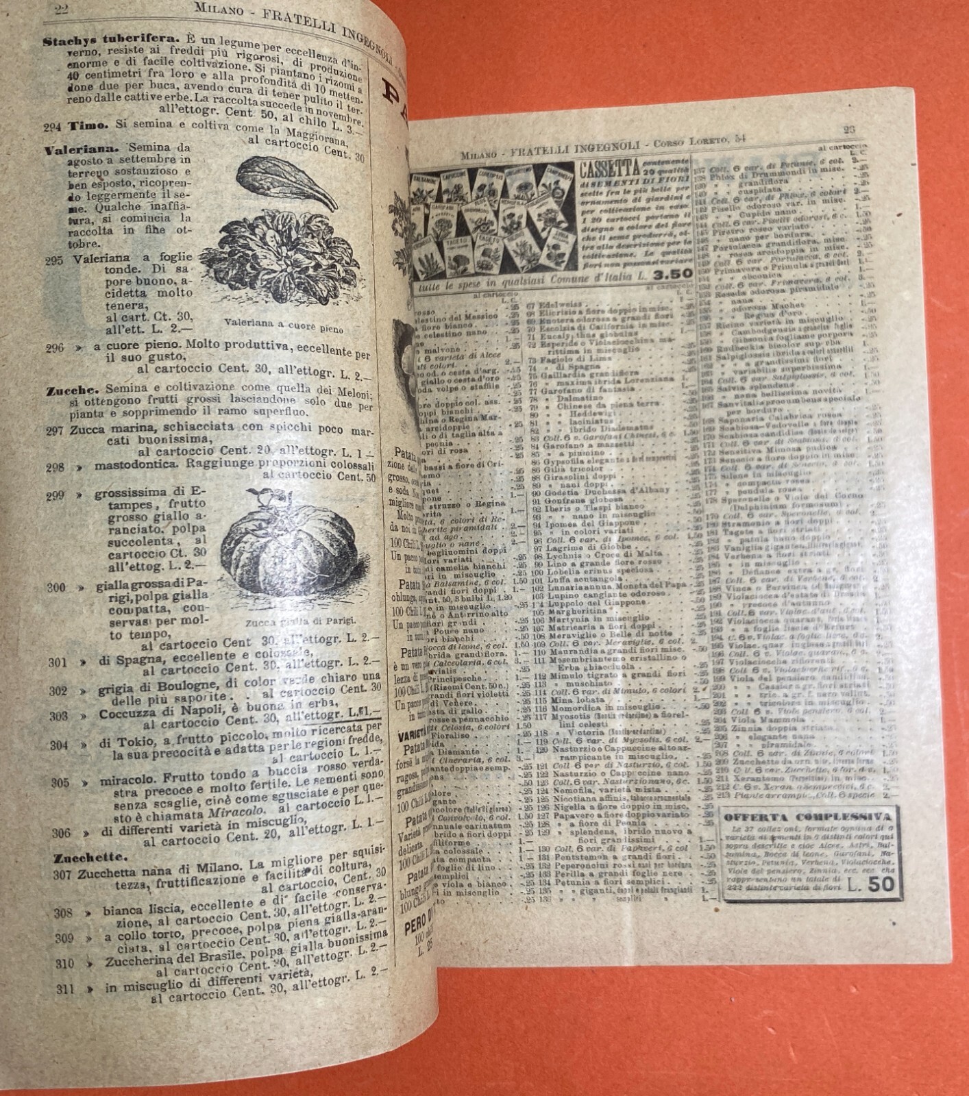 Agraria, Botanica, Ortaggi, Frutta, Fiori, Piante: Antico Catalogo Pubblicitario, 1899