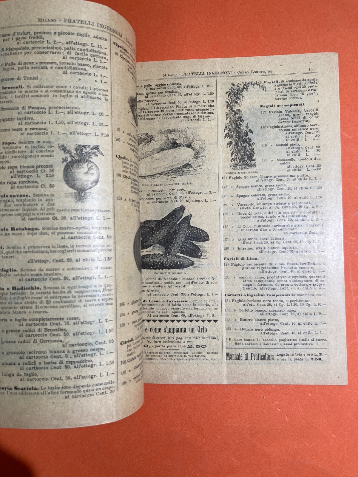 Agraria, Botanica, Ortaggi, Frutta, Fiori, Piante: Antico Catalogo Pubblicitario, 1899