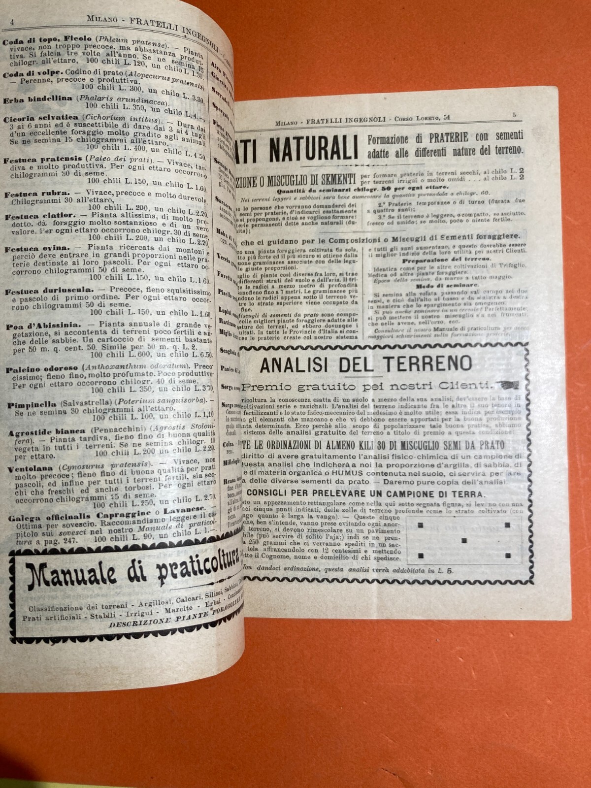 Agraria, Botanica, Ortaggi, Frutta, Fiori, Piante: Antico Catalogo Pubblicitario, 1899