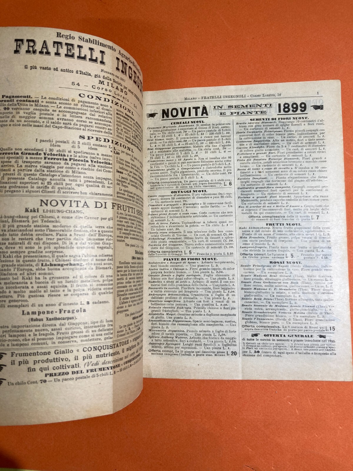 Agraria, Botanica, Ortaggi, Frutta, Fiori, Piante: Antico Catalogo Pubblicitario, 1899