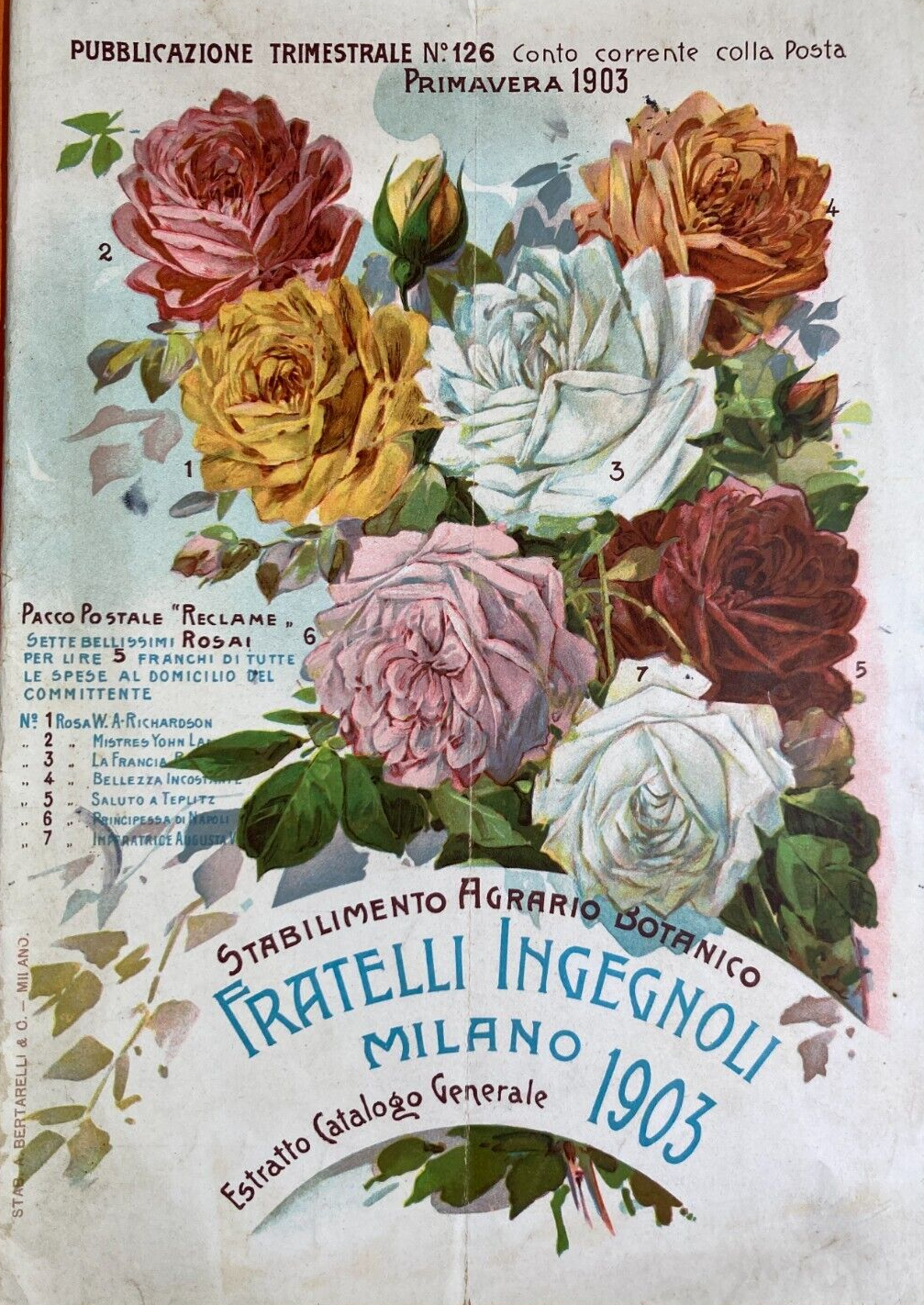 Agraria, Botanica, Ortaggi, Frutta, Fiori, Piante. Antico Catalogo Pubblicitario, 1903