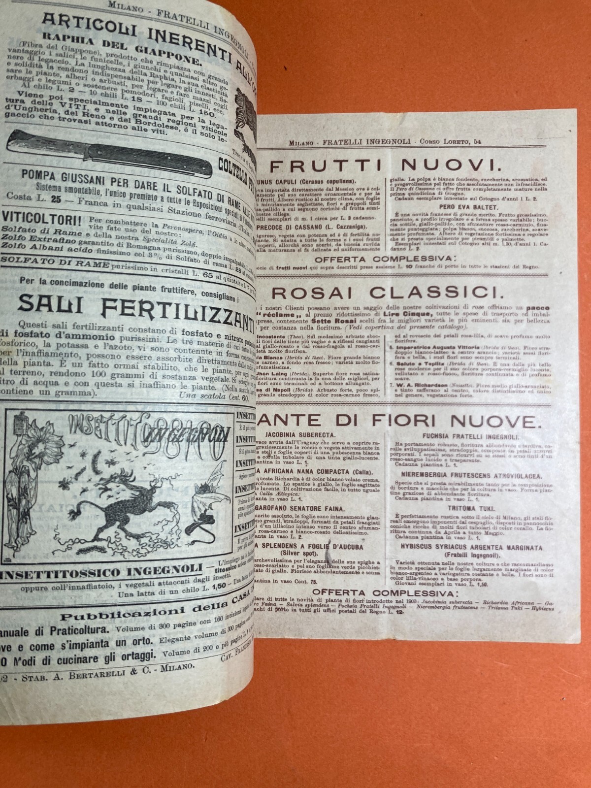 Agraria, Botanica, Ortaggi, Frutta, Fiori, Piante. Antico Catalogo Pubblicitario, 1903
