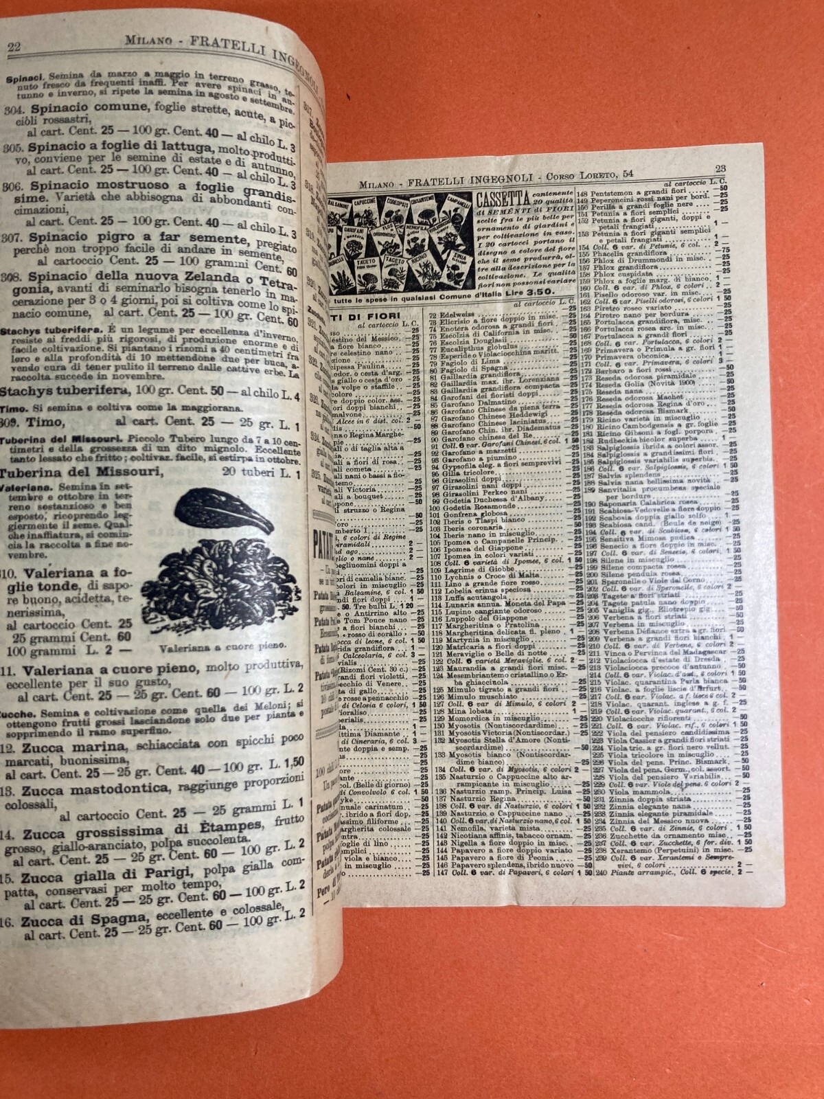 Agraria, Botanica, Ortaggi, Frutta, Fiori, Piante. Antico Catalogo Pubblicitario, 1903