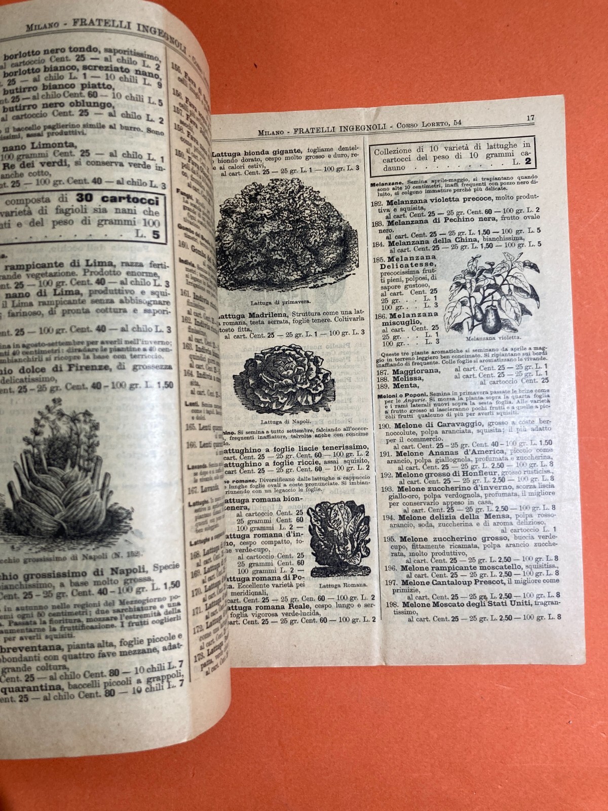 Agraria, Botanica, Ortaggi, Frutta, Fiori, Piante. Antico Catalogo Pubblicitario, 1903