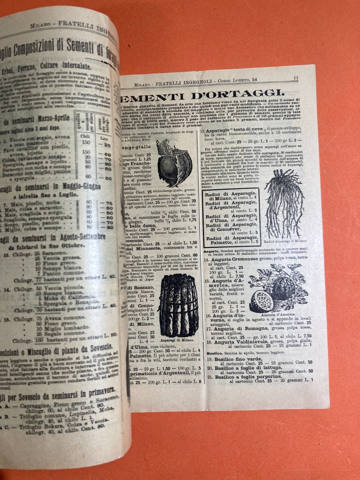 Agraria, Botanica, Ortaggi, Frutta, Fiori, Piante. Antico Catalogo Pubblicitario, 1903