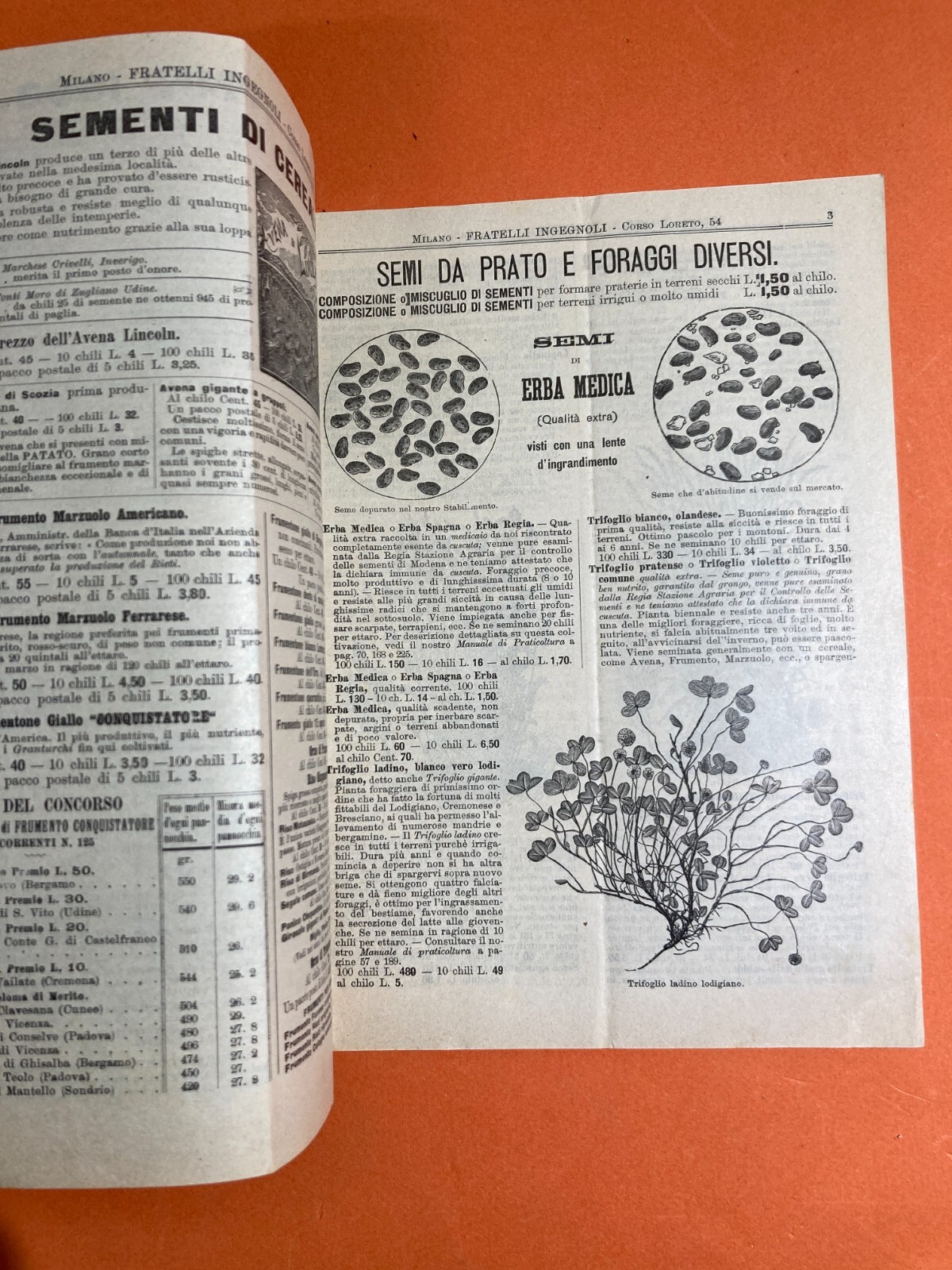Agraria, Botanica, Ortaggi, Frutta, Fiori, Piante. Antico Catalogo Pubblicitario, 1903
