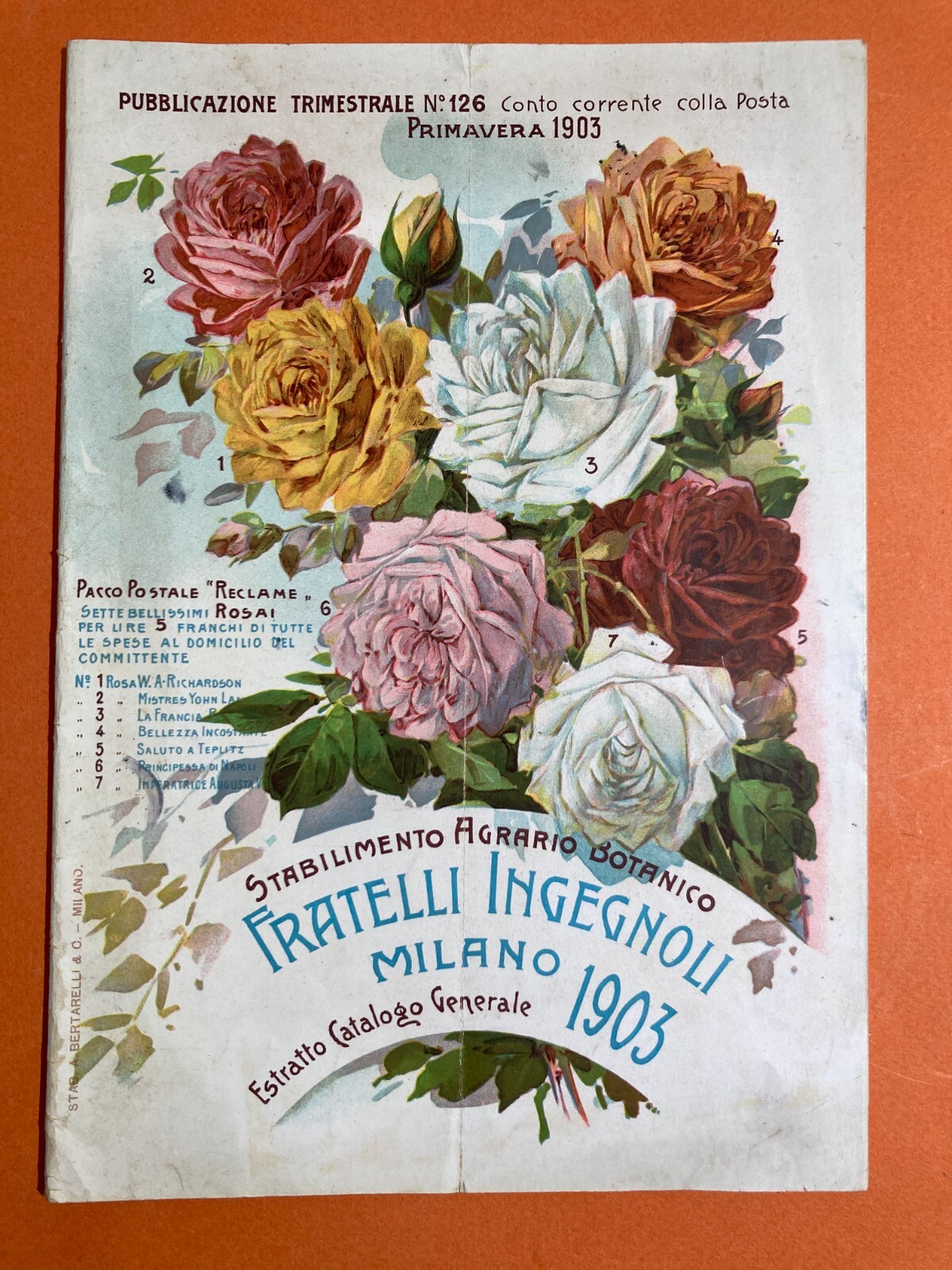 Agraria, Botanica, Ortaggi, Frutta, Fiori, Piante. Antico Catalogo Pubblicitario, 1903