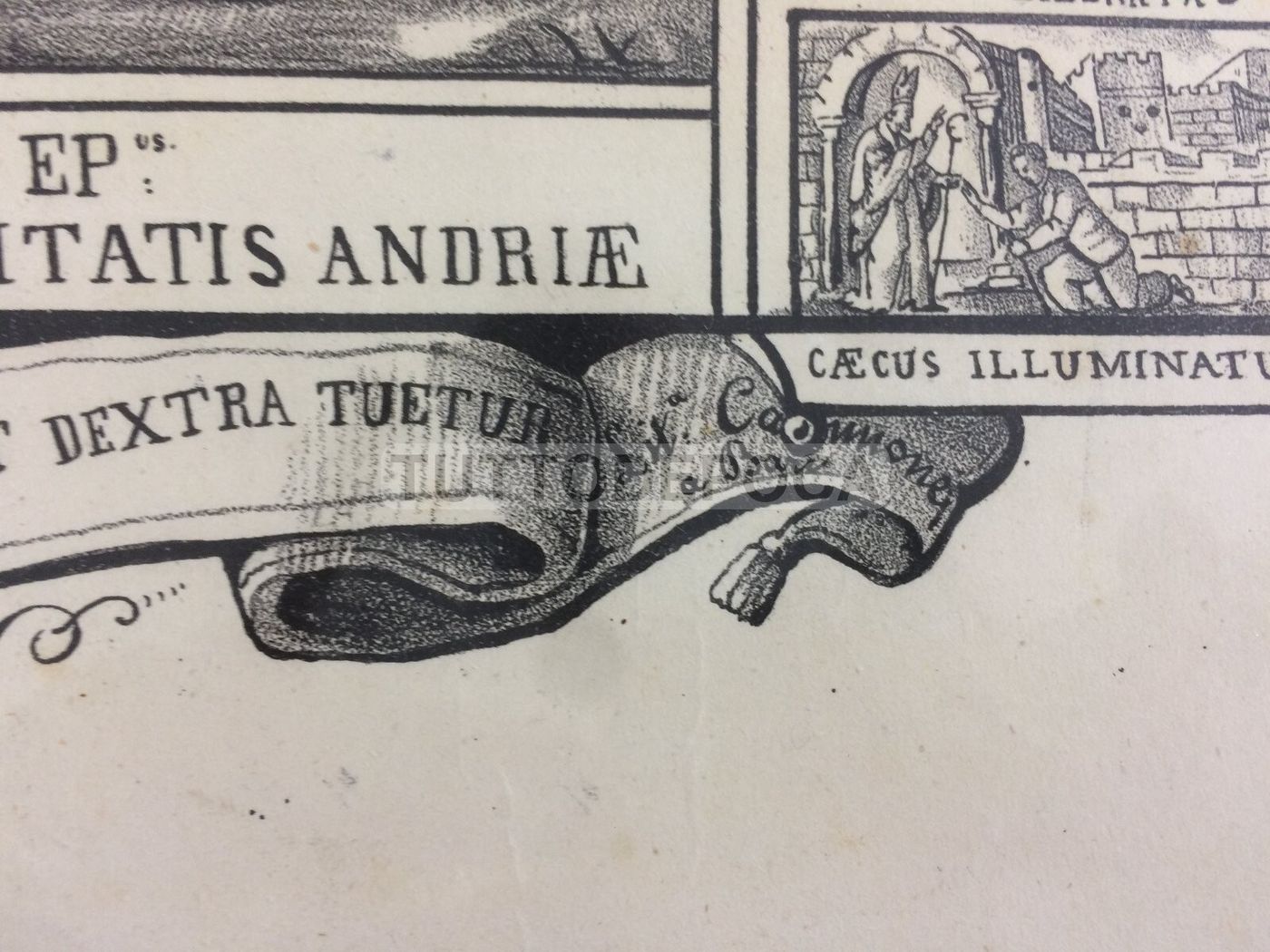 Arte Antica: Stampa Popolare Devozionale Di San Riccardo, Patrono Di Andria
