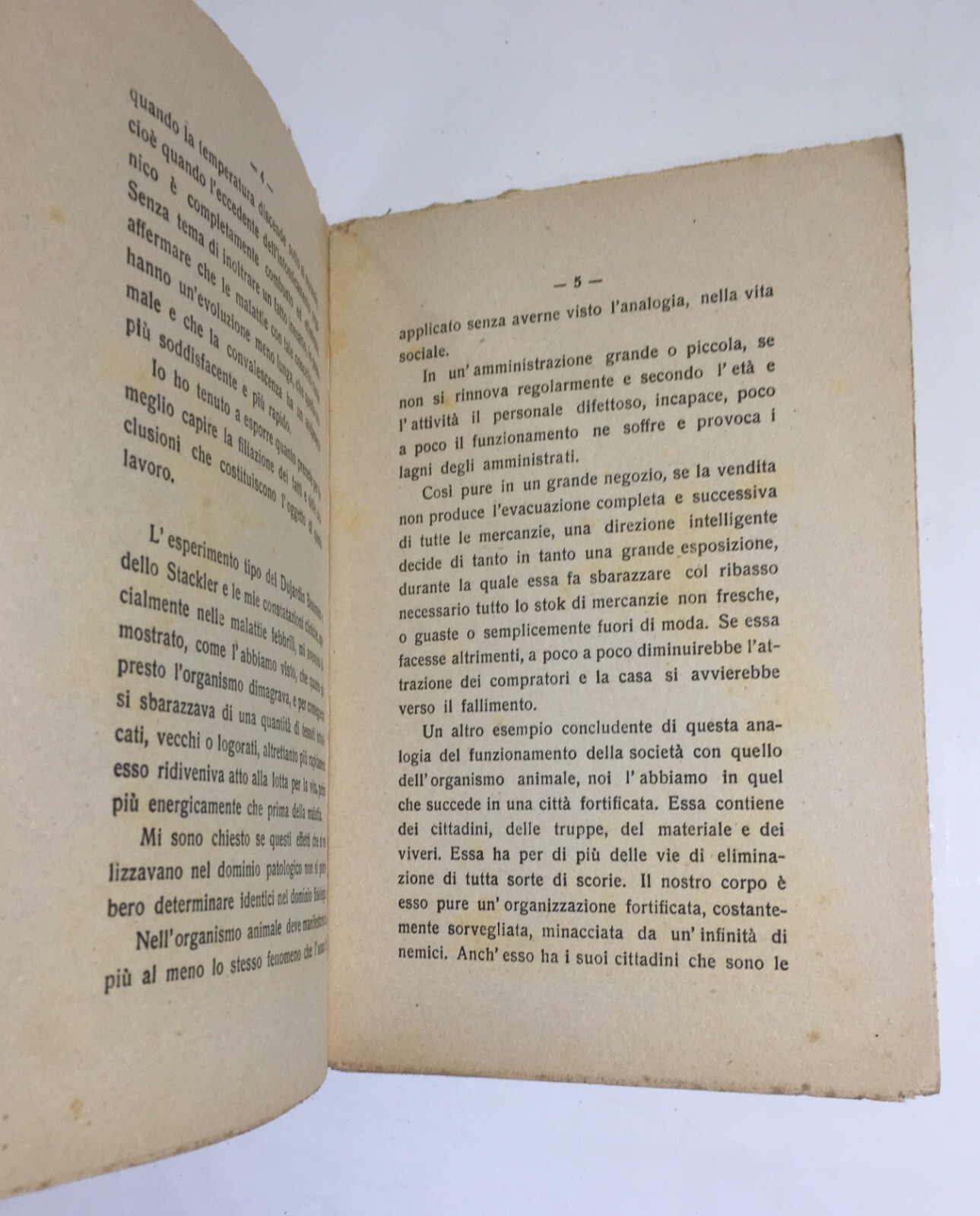 Medicina, Alimentazione, Digiuno, Purga, Cosmesi E Igiene Dei Capelli   G. Guelpa   1917