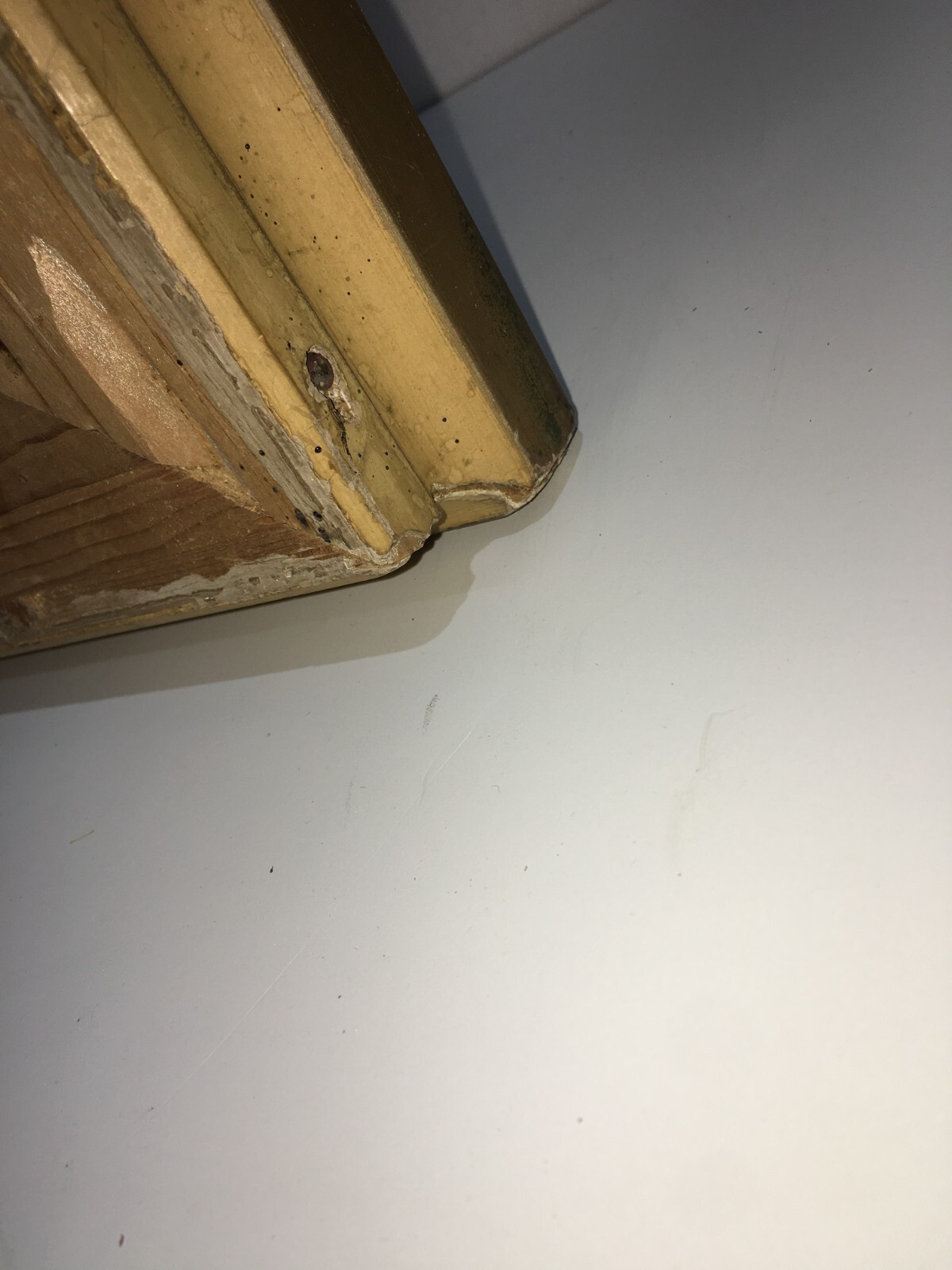Cornice Antica In Stile Liberty Con Decorazioni In Rilievo E Doratura