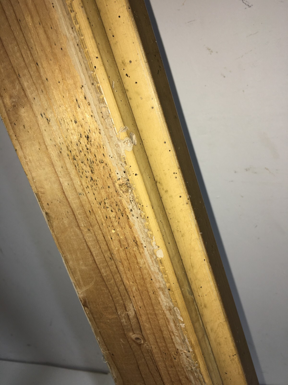 Cornice Antica In Stile Liberty Con Decorazioni In Rilievo E Doratura