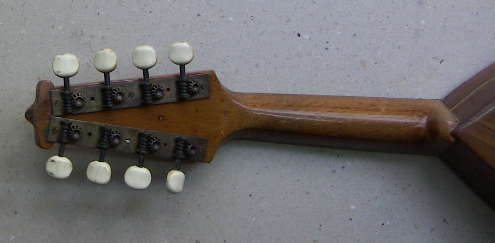 Musica, Teatro, Musicisti: Raro Mandolino Milanese, Edoardo Bezzi