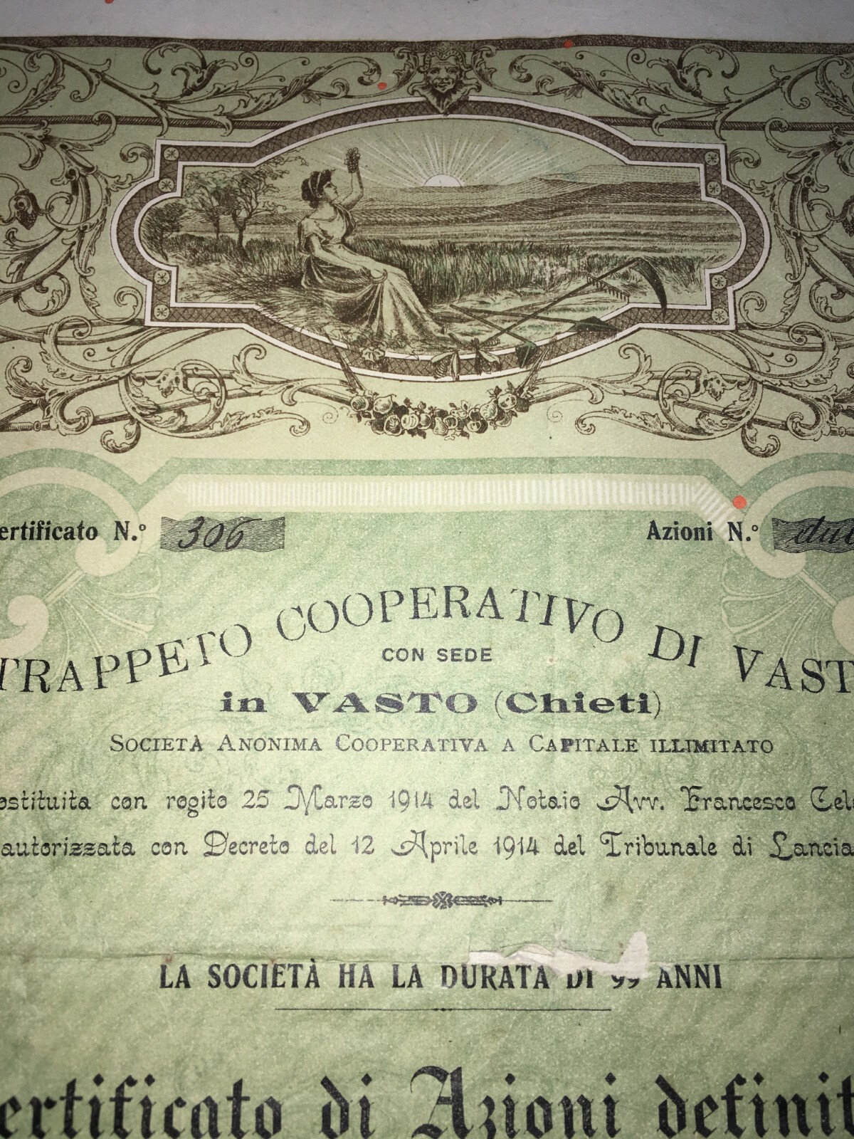 Abruzzo, Vasto: Agricoltura, Olivicoltura, Molitura Olive, Trappeto Oleificio, 1920