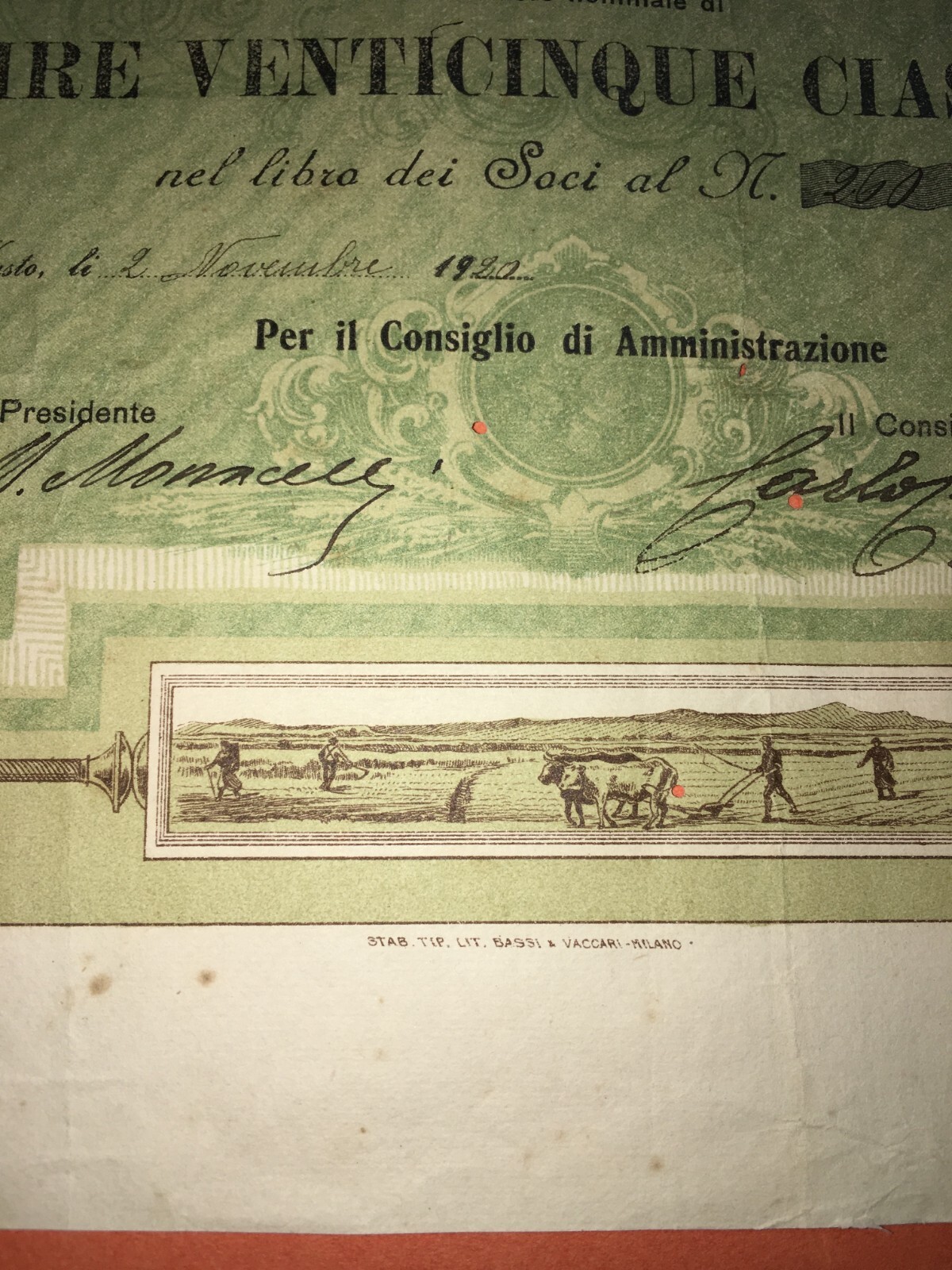 Abruzzo, Vasto: Agricoltura, Olivicoltura, Molitura Olive, Trappeto Oleificio, 1920
