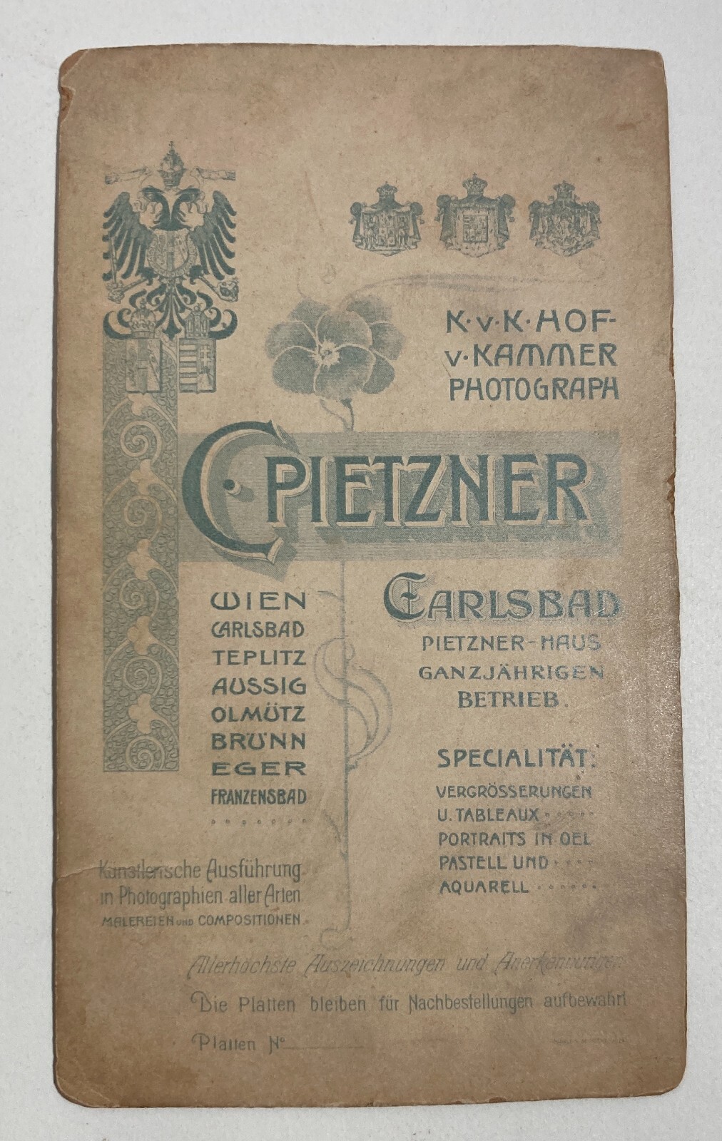 Militaria: Ritratto Di Militare. Antica Fotografia Pietzner, Vienna   Carlsbad