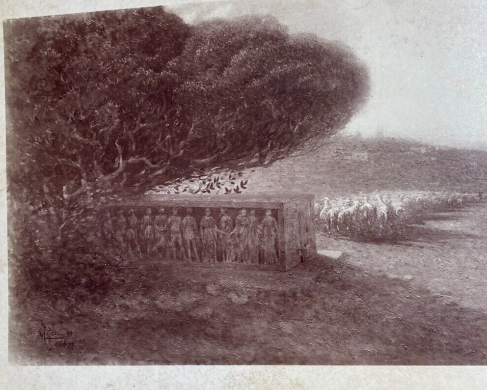 Scena Bucolica Con Antiche Rovine E Mandria Di Pecore, Fotografia Originale (1899)