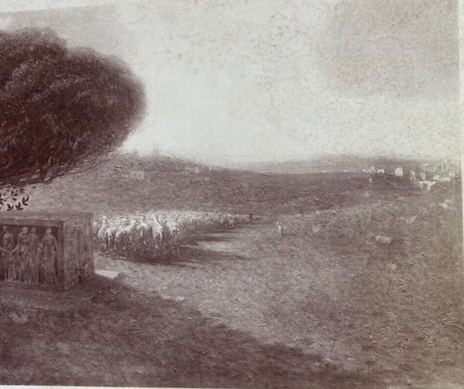Scena Bucolica Con Antiche Rovine E Mandria Di Pecore, Fotografia Originale (1899)