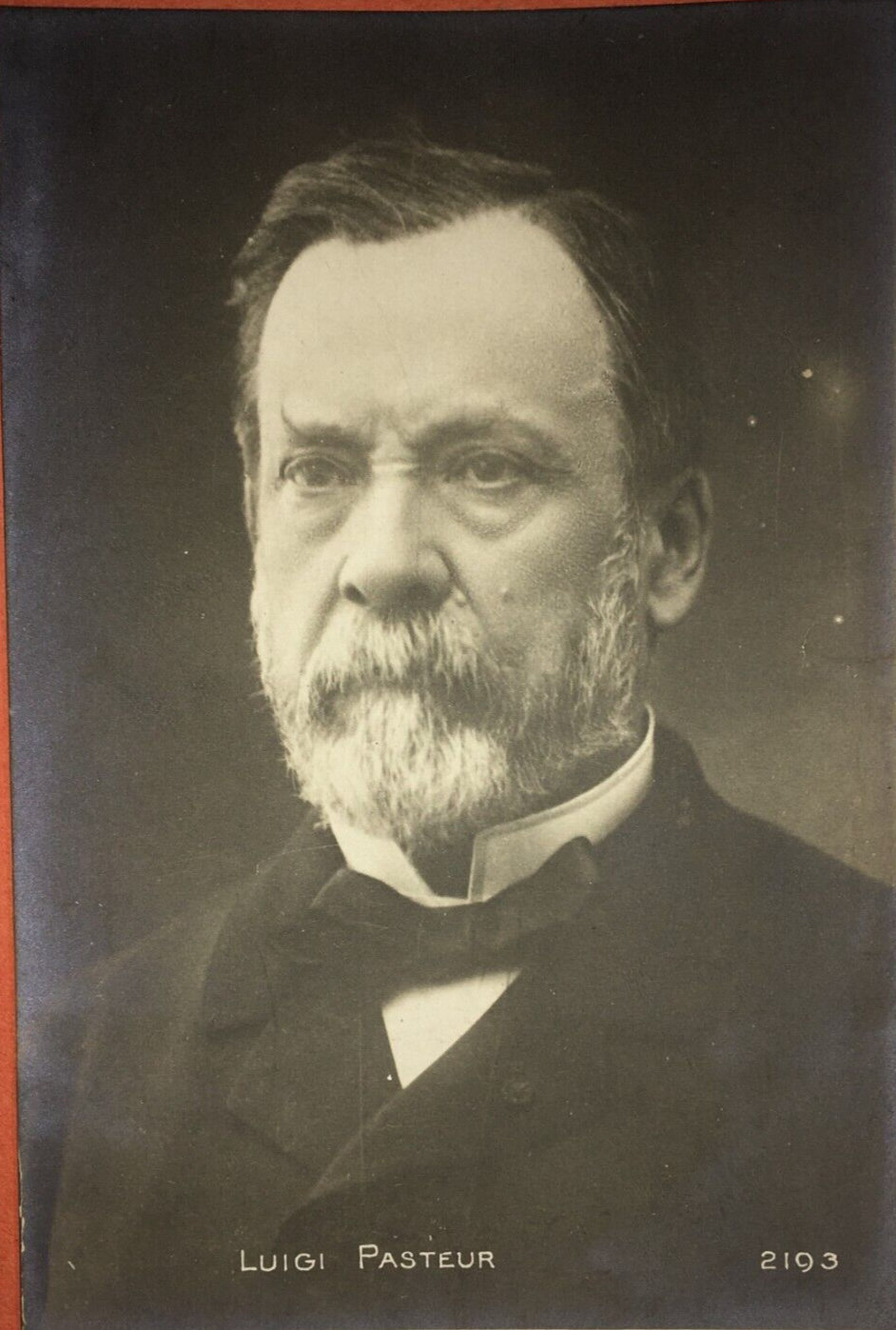 Scienza, Chimica, Microbiologia, Pasteur: Antica Foto Cartolina, Ritratto