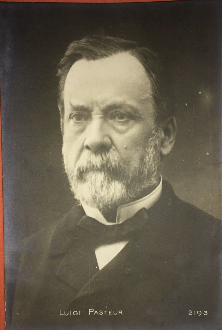 Scienza, Chimica, Microbiologia, Pasteur: Antica Foto Cartolina, Ritratto