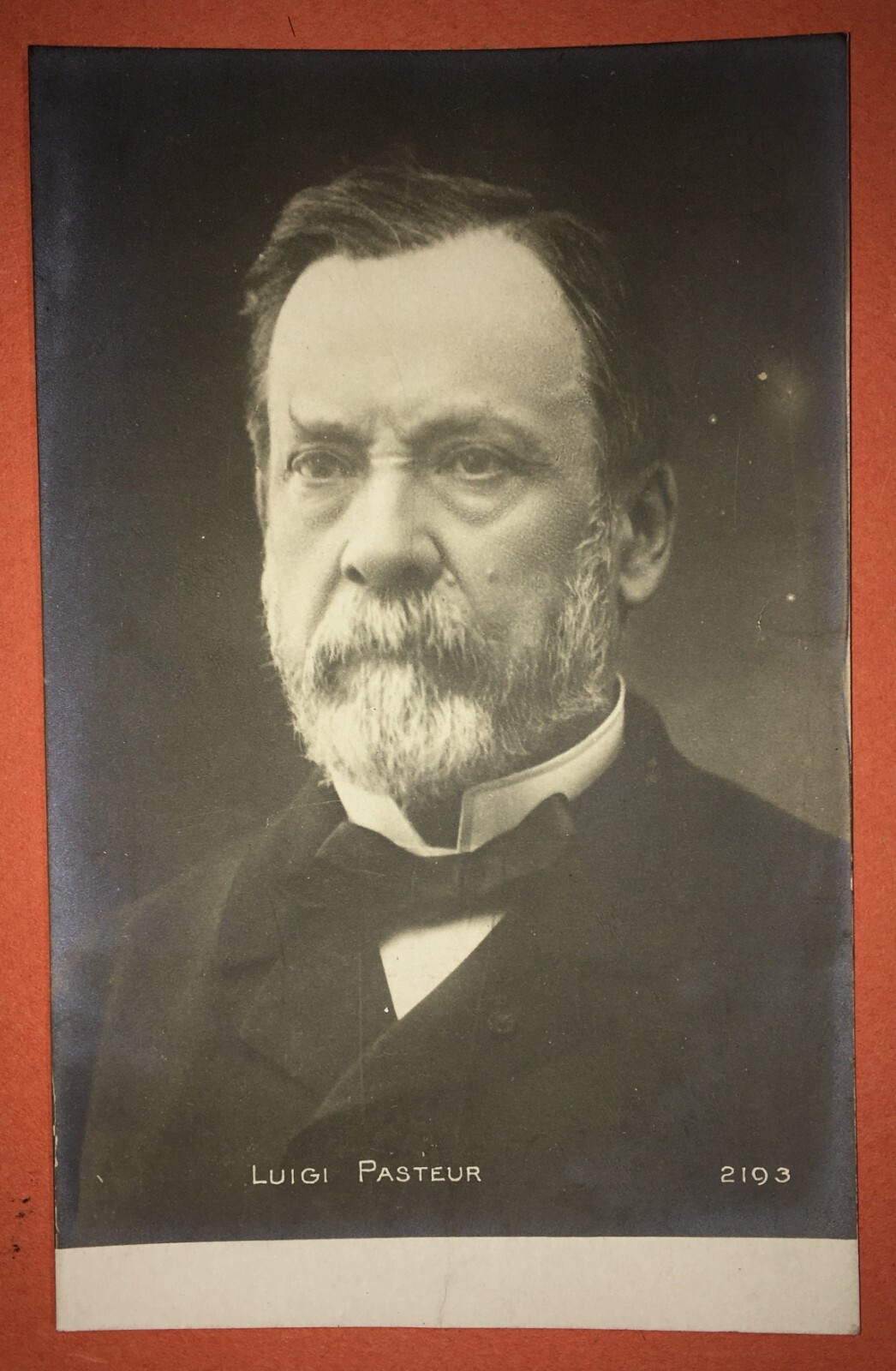 Scienza, Chimica, Microbiologia, Pasteur: Antica Foto Cartolina, Ritratto