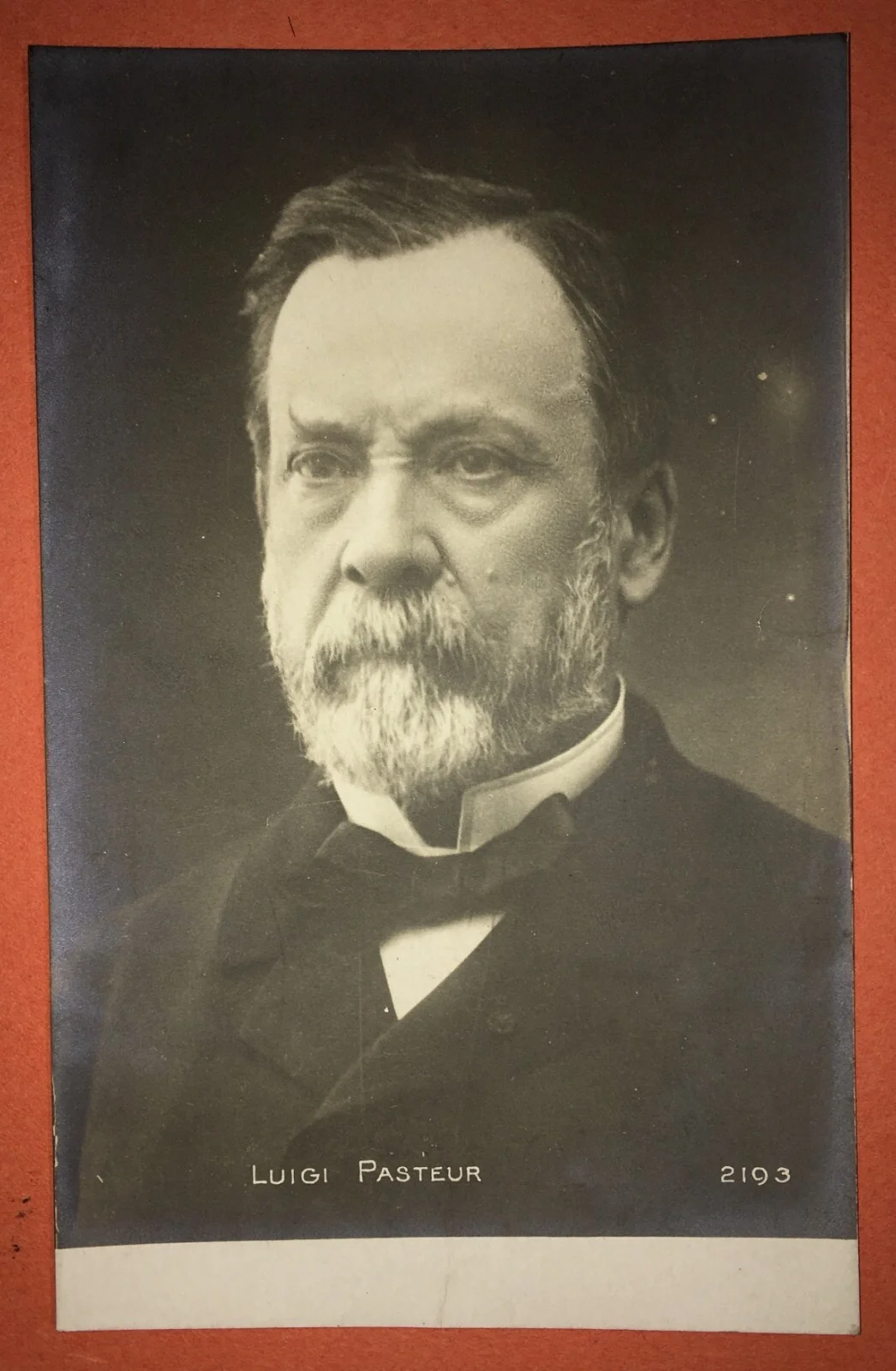 Scienza, Chimica, Microbiologia, Pasteur: Antica Foto Cartolina, Ritratto