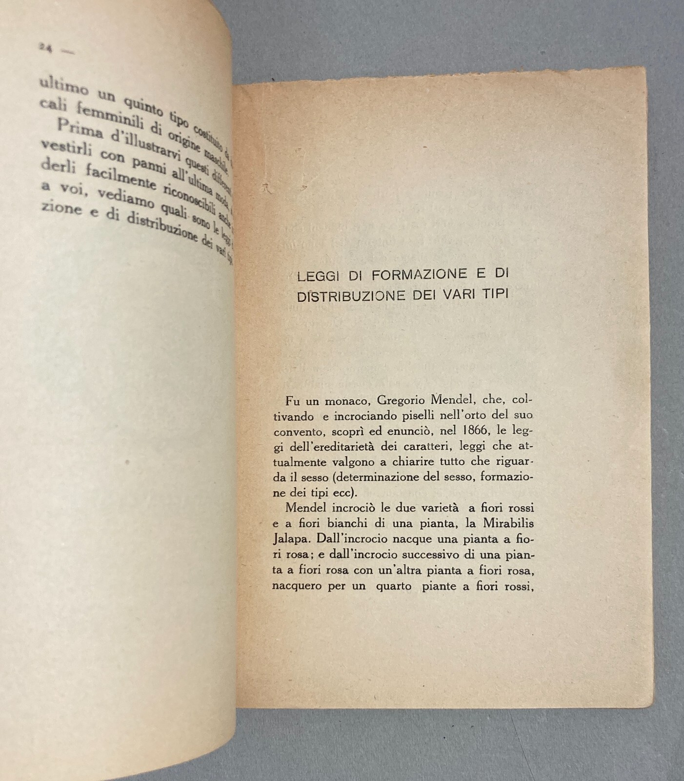 Sessointersessosupersesso: Specchio Per Tutti E Per Ognuno   Angelo Signorelli   1928