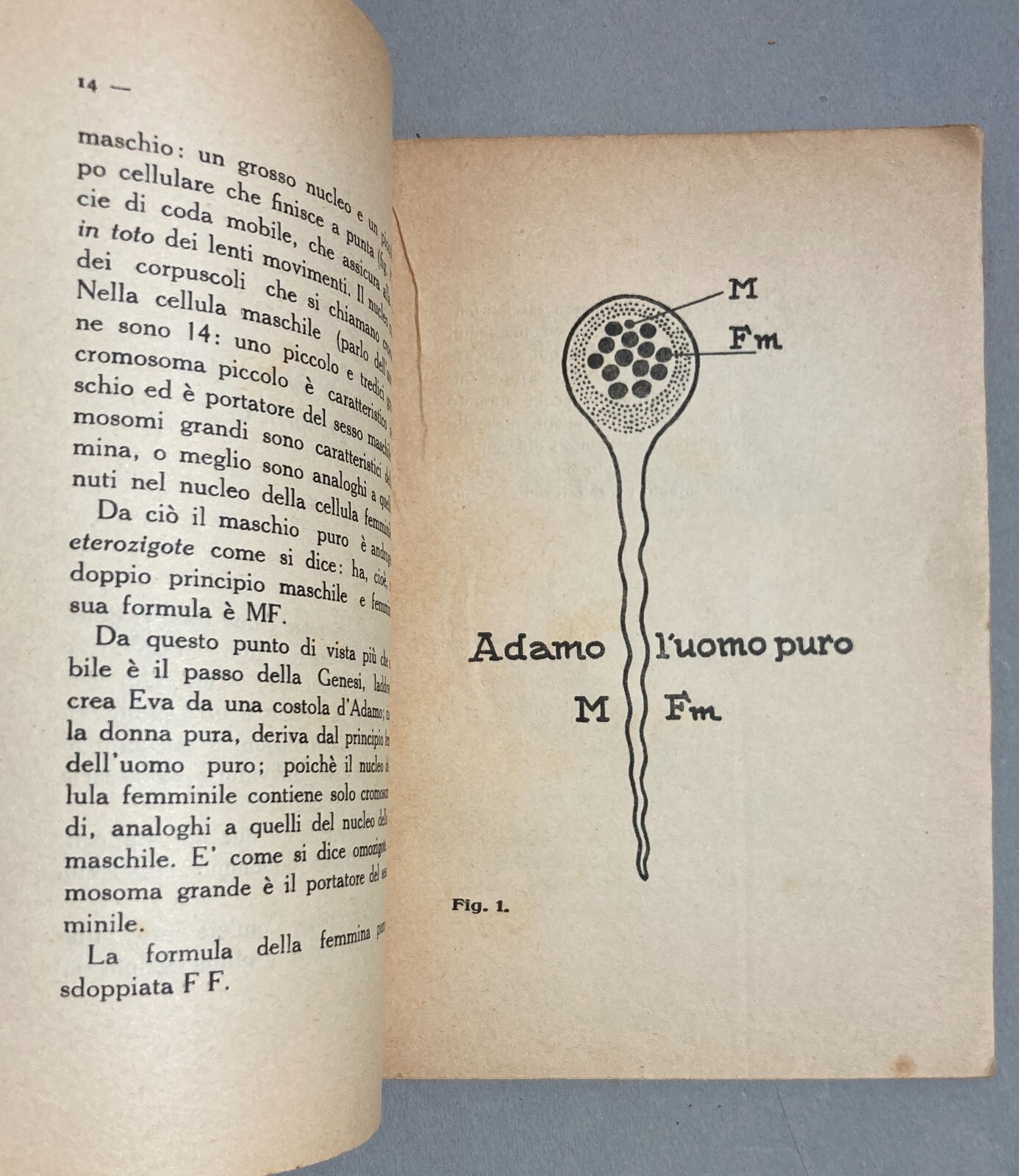 Sessointersessosupersesso: Specchio Per Tutti E Per Ognuno   Angelo Signorelli   1928