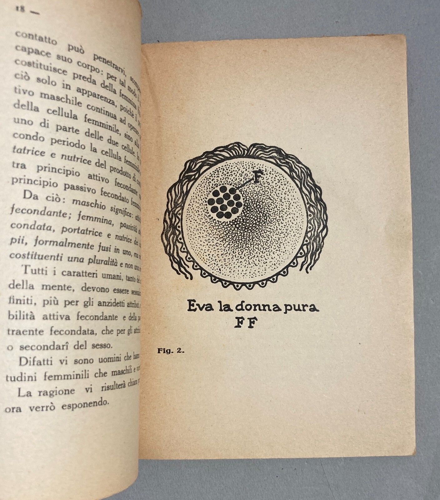 Sessointersessosupersesso: Specchio Per Tutti E Per Ognuno   Angelo Signorelli   1928