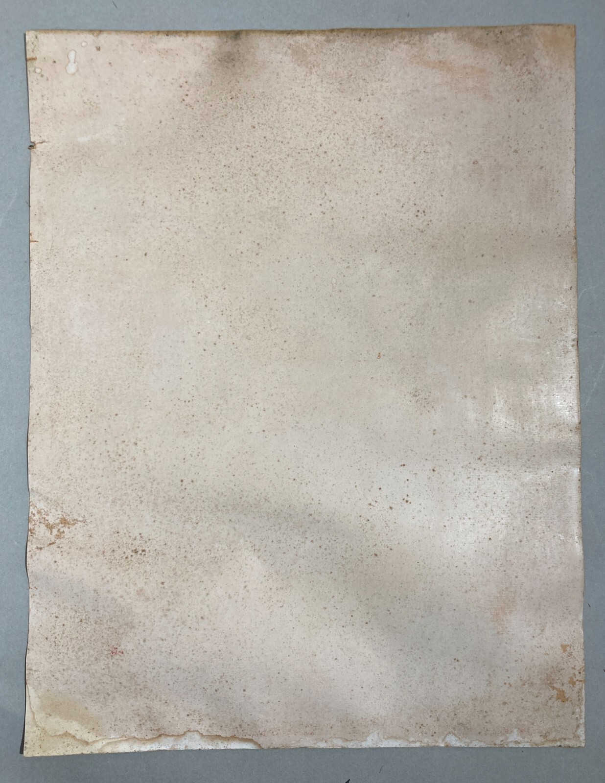 Stampa Popolare Devozionale: Madonna Di Canneto, Settefrati. Cromolitografia Antica.