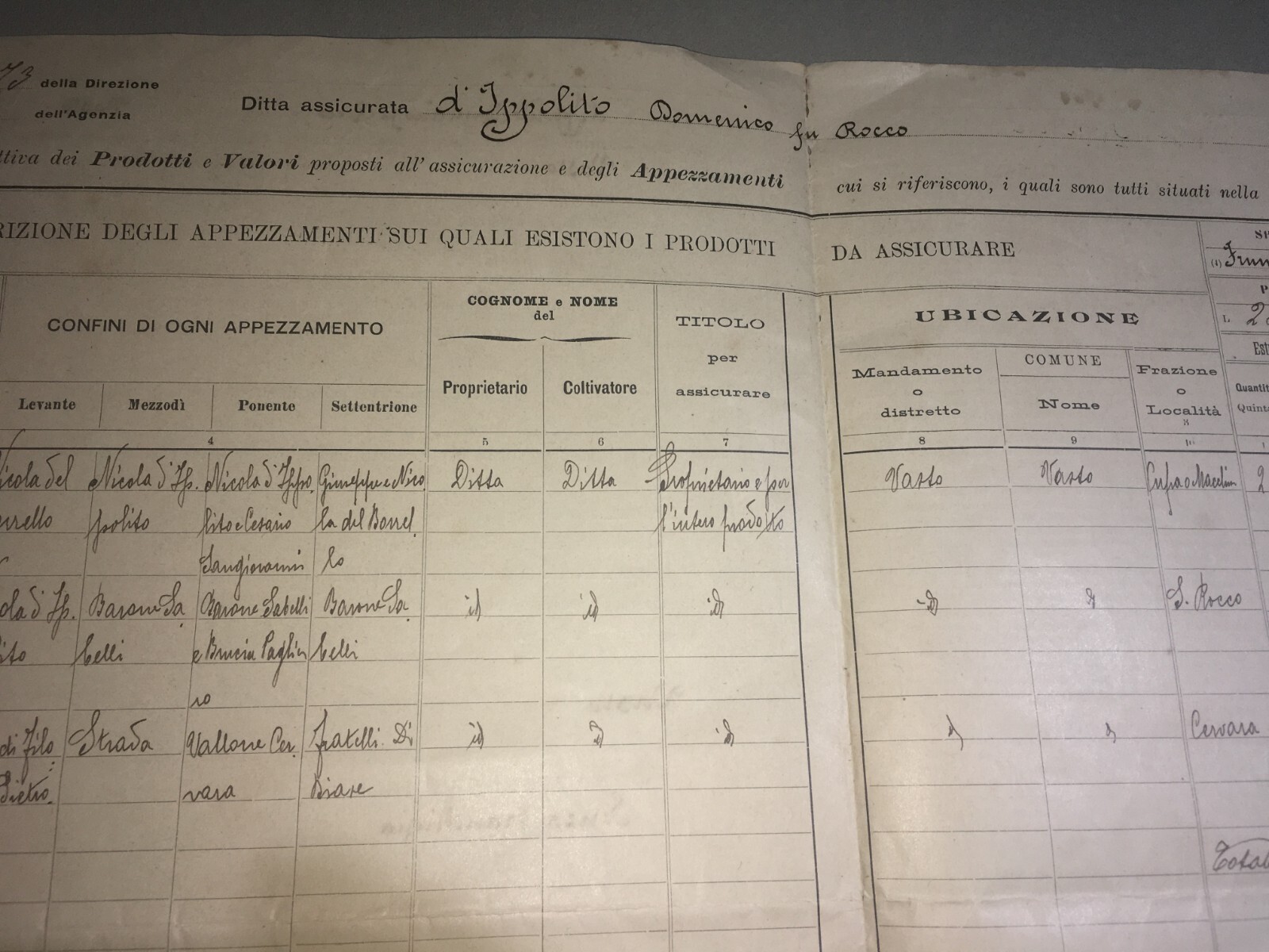 Polizza Di Assicurazione Agraria Reale Grandine, Vasto (Abruzzo), 1905