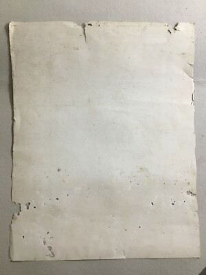 Arte Popolare Devozionale: L'Assunzione Della Vergine Con Angeli. Antica Litografia Turgis & Casse Frères, XIX Secolo
