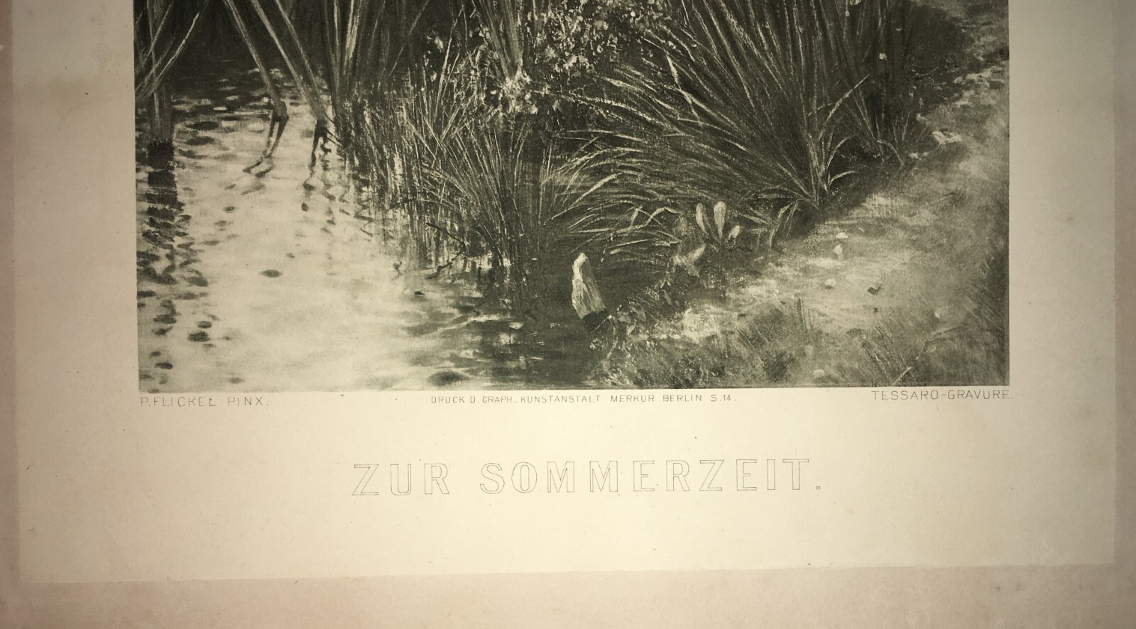 Estate: Incisione Di Tessaro Da Dipinto Di Flickel. Veduta Artistica, Berlino