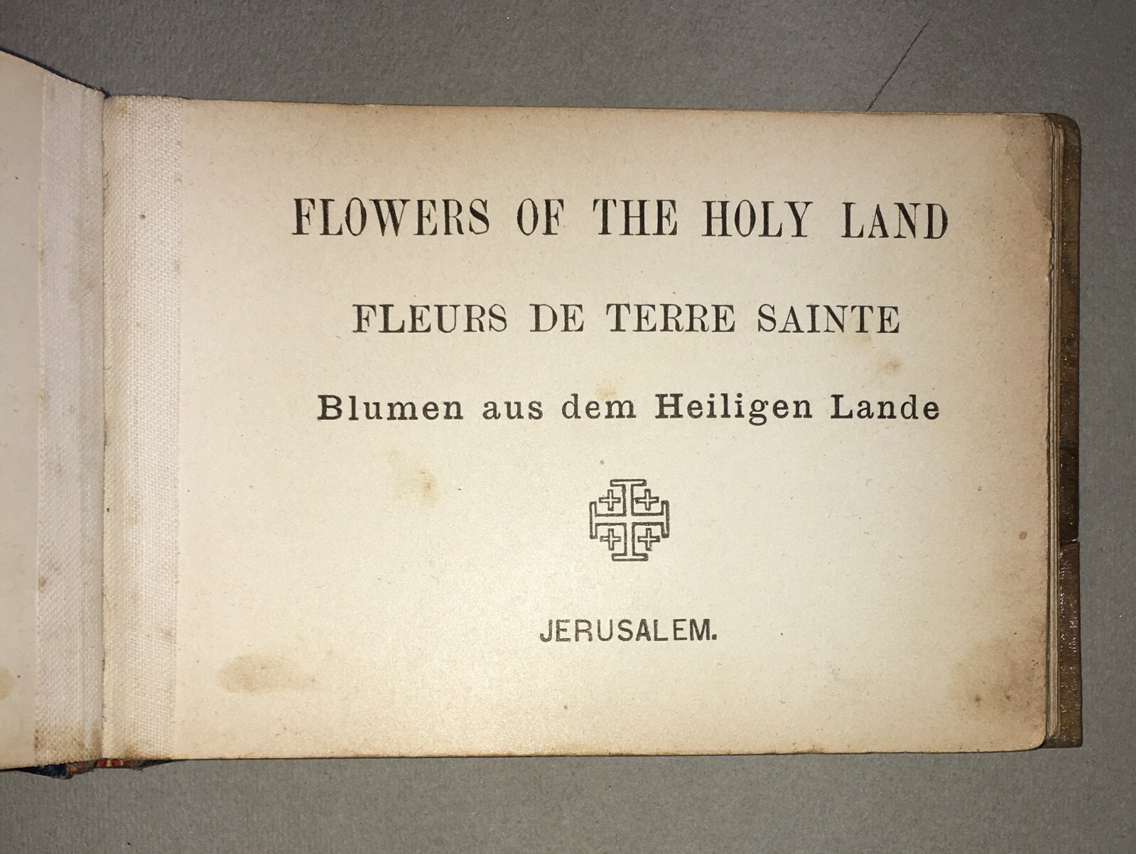 Botanica: Fiori Di Gerusalemme, Antico Erbario Illustrato Fotografico Devozionale