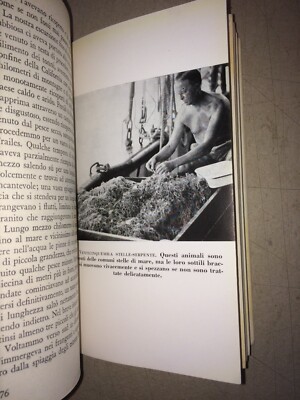 L'Avventura Della Zaca. Storia Naturale E Zoologia Marina (William Beebe, 1956)