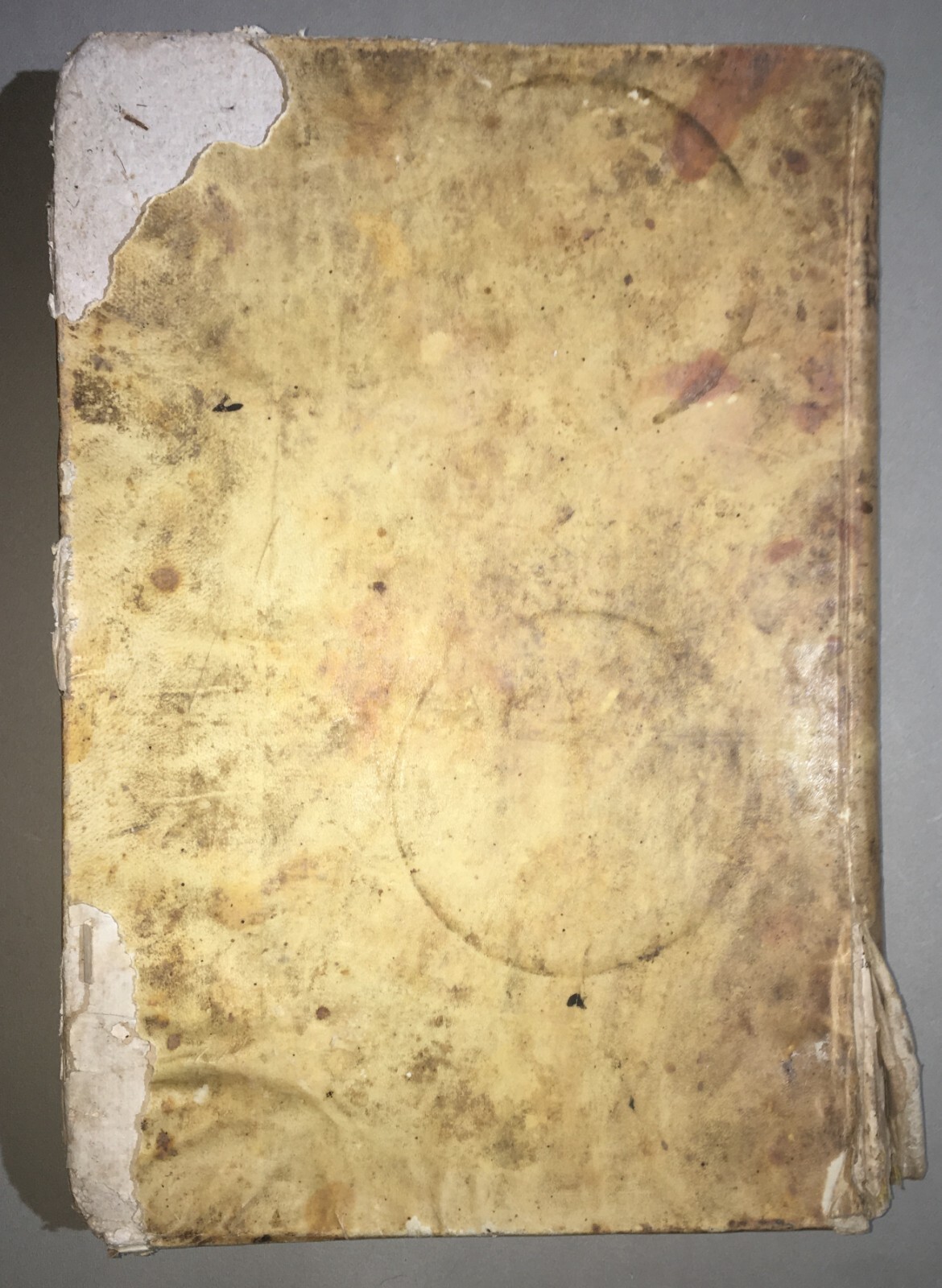 Giurisprudenza Ecclesiastica Il Tribunale Della S. Rota Romana 1717