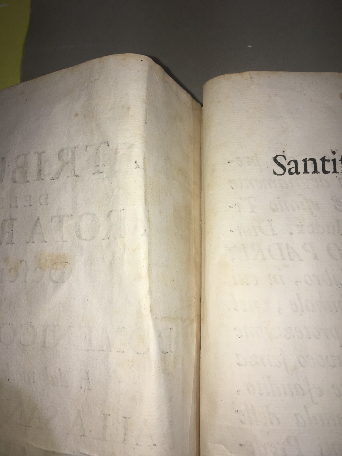 Giurisprudenza Ecclesiastica Il Tribunale Della S. Rota Romana 1717