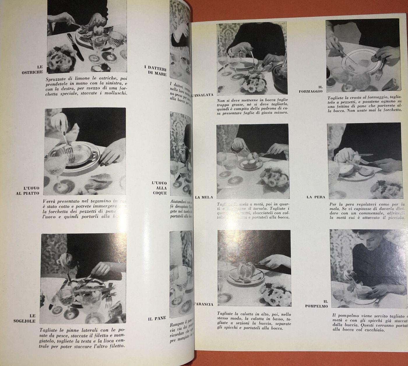 Culinaria, Cucina Regionale, Pasticceria, Ampio Ricettario Illustrato, Domus, 1956