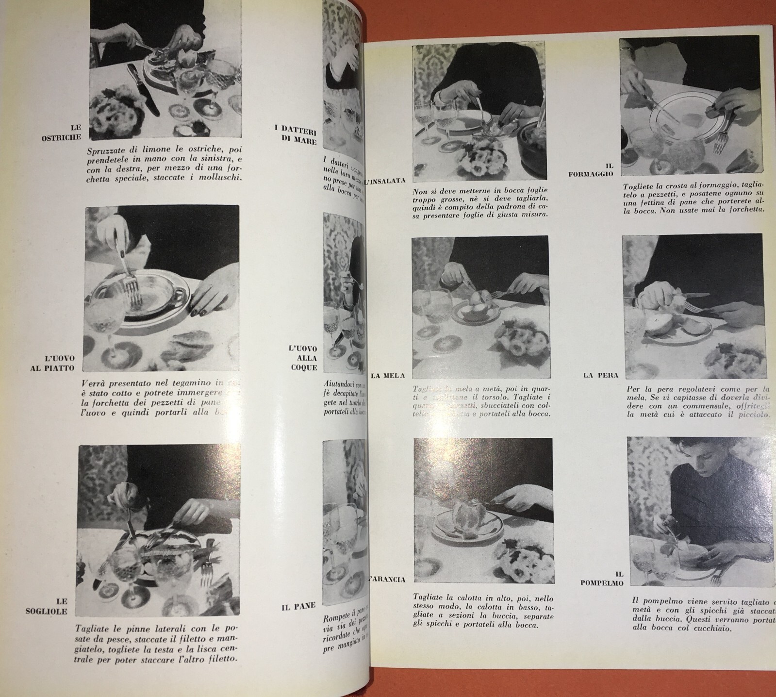 Culinaria, Cucina Regionale, Pasticceria, Ampio Ricettario Illustrato, Domus, 1956